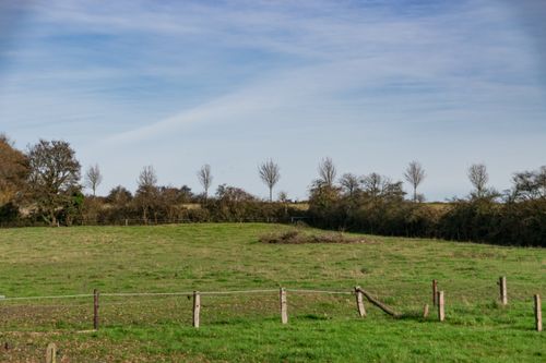 Free Serene open field with trees under a clear blue sky, perfect for nature lovers. Stock Photo