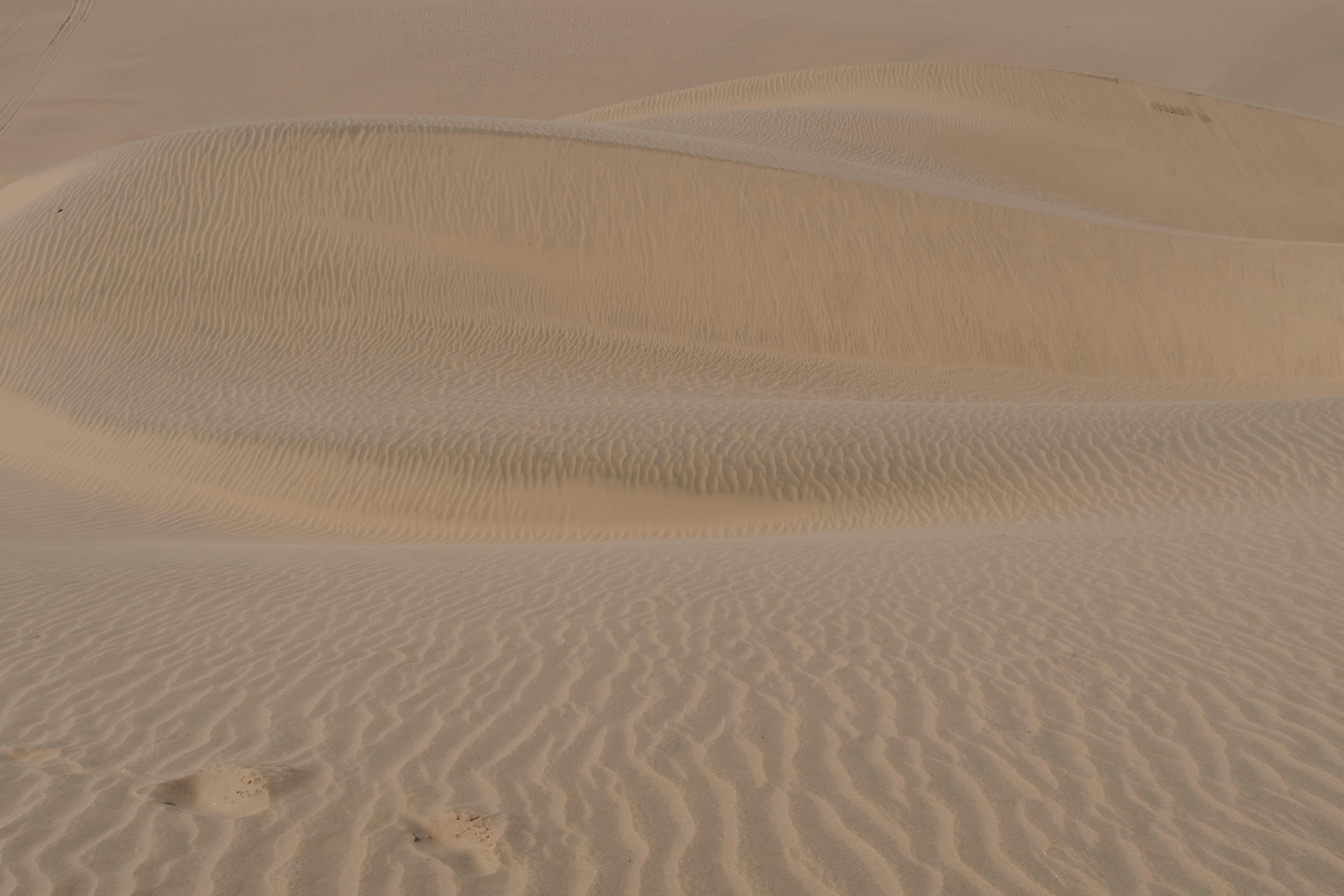 Wall rack system for slouching posture support and ergonomic improvement