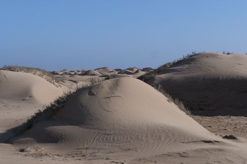 Free Sandy dunes under a clear blue sky in a serene desert landscape. Stock Photo