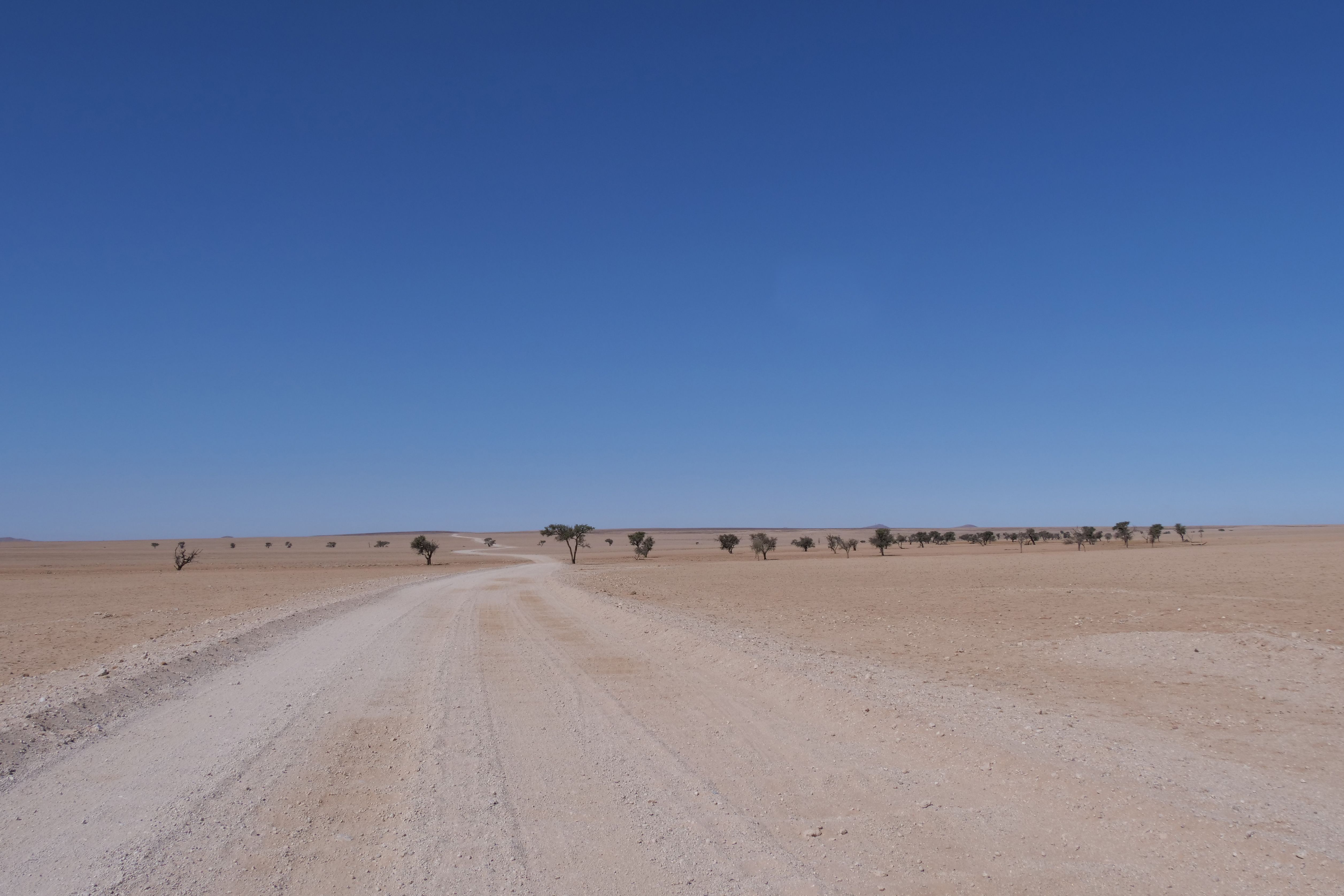 Desert Road Under Clear Blue Sky Panorama · Free Stock Photo