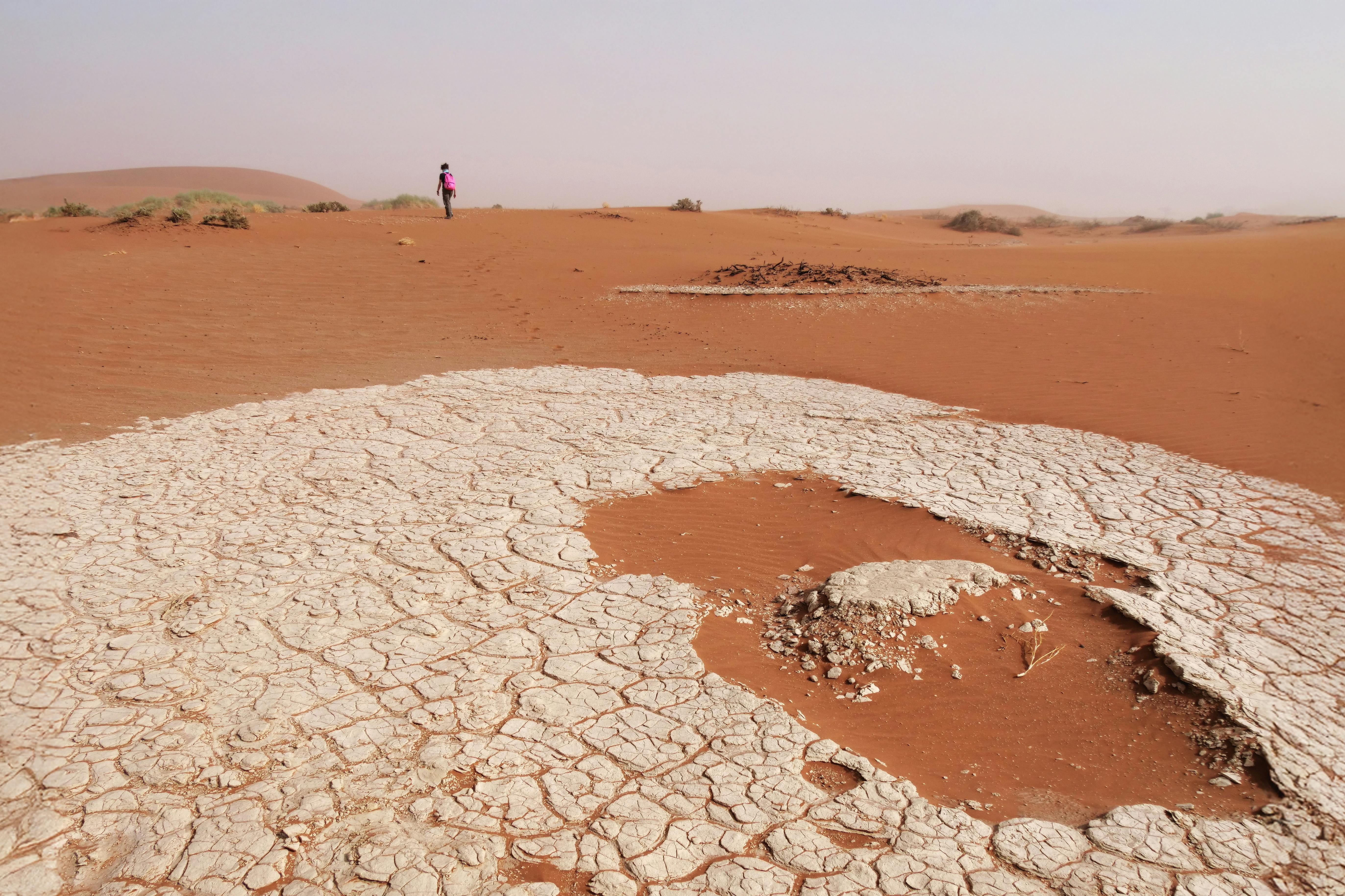 climate resilience drought mitigation — Photo by Rino Adamo on Pexels