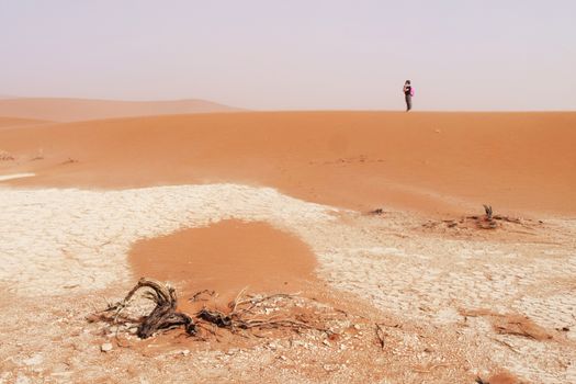 A lone traveler stands on a vast desert dune under clear skies.