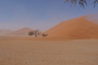 Captivating view of towering sand dunes in the Namib Desert with clear blue skies.