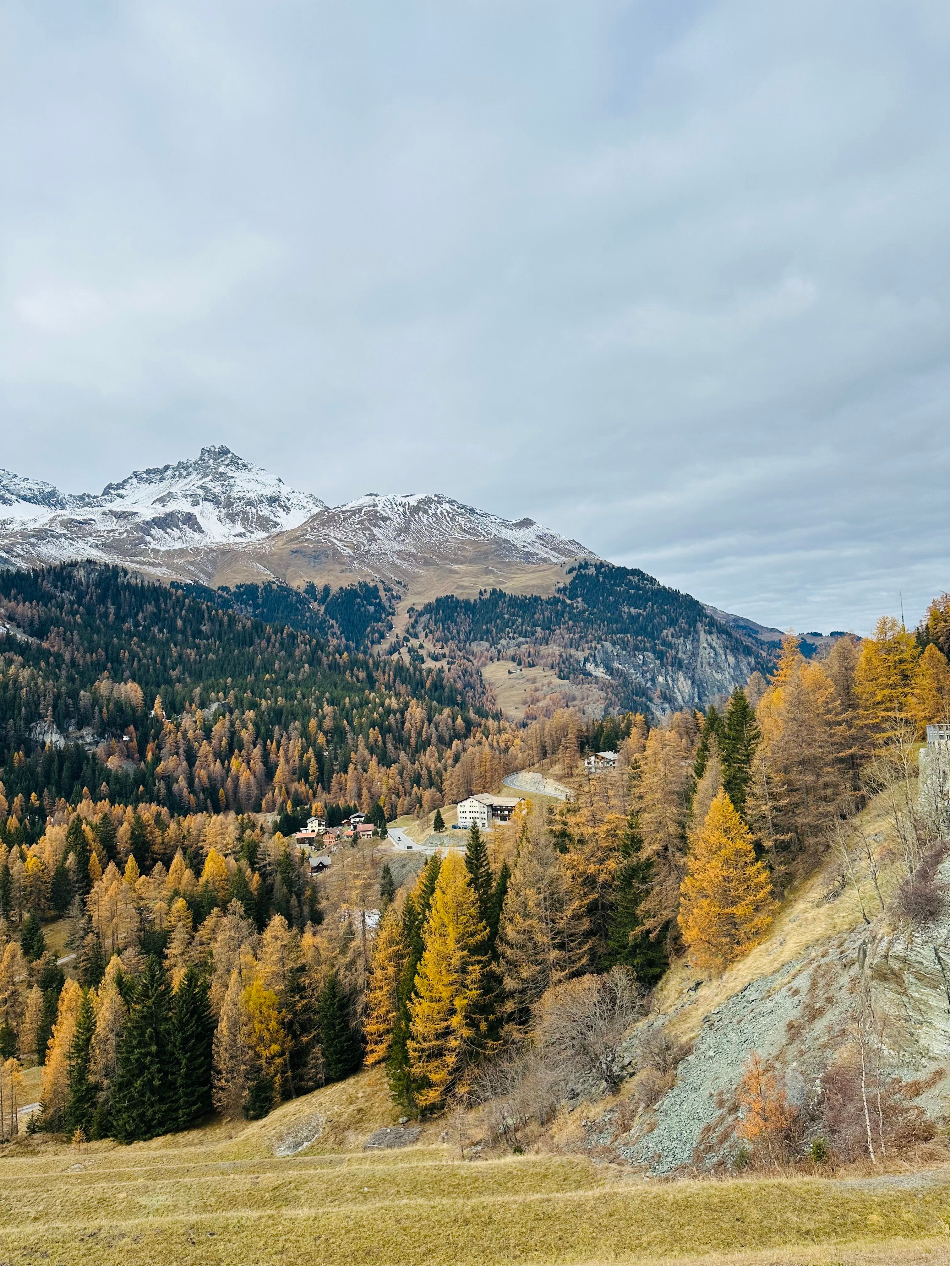 Scenic Alpine Landscape with Autumn Foliage · Free Stock Photo