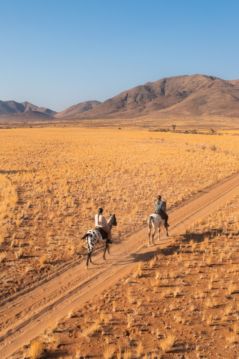 Riders Exploring the Desert on Horseback · Free Stock Photo