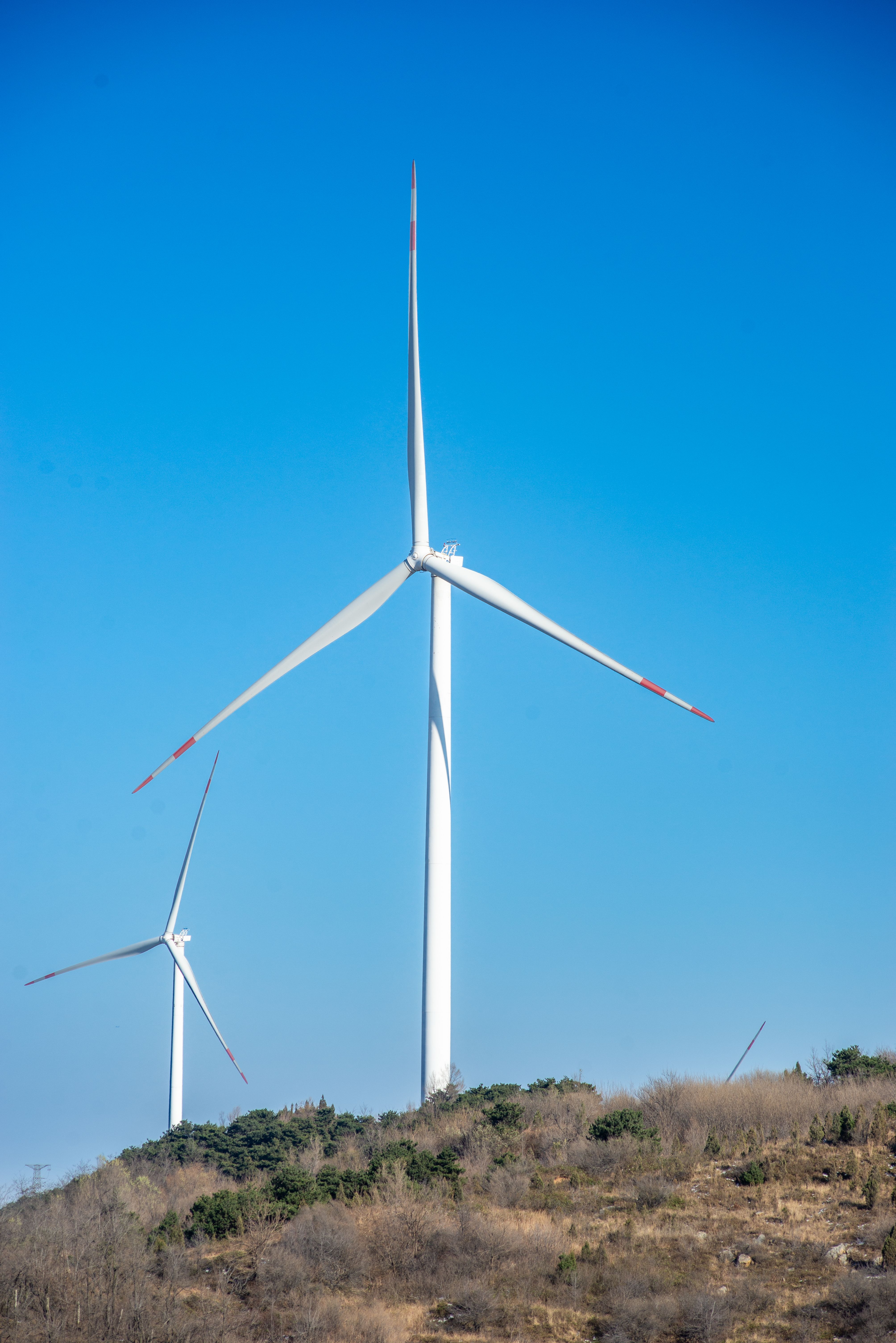 Majestic Wind Turbines Against Blue Sky · Free Stock Photo