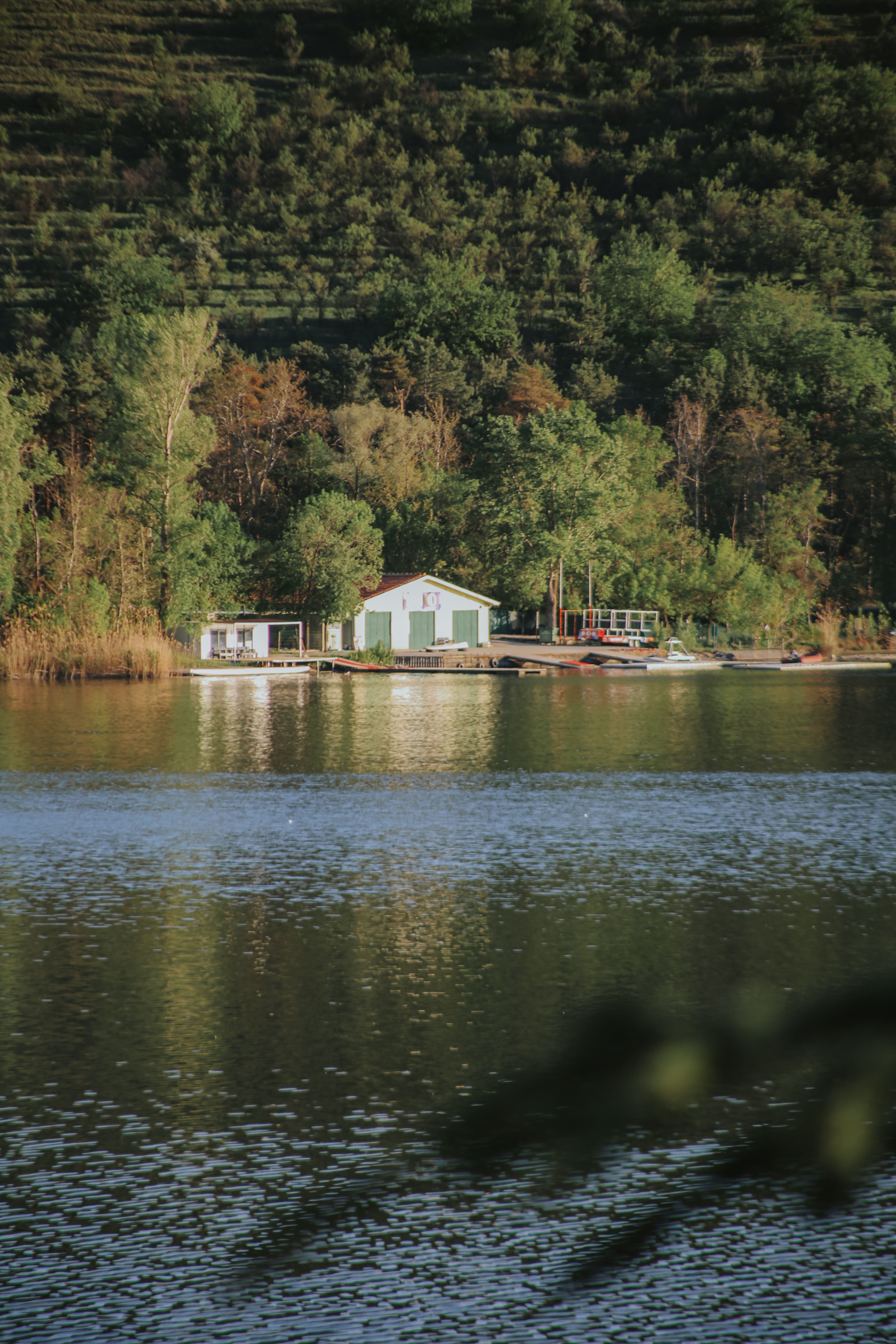 Tranquil riverside cabin nestled amidst lush forest, reflecting serene natural beauty.