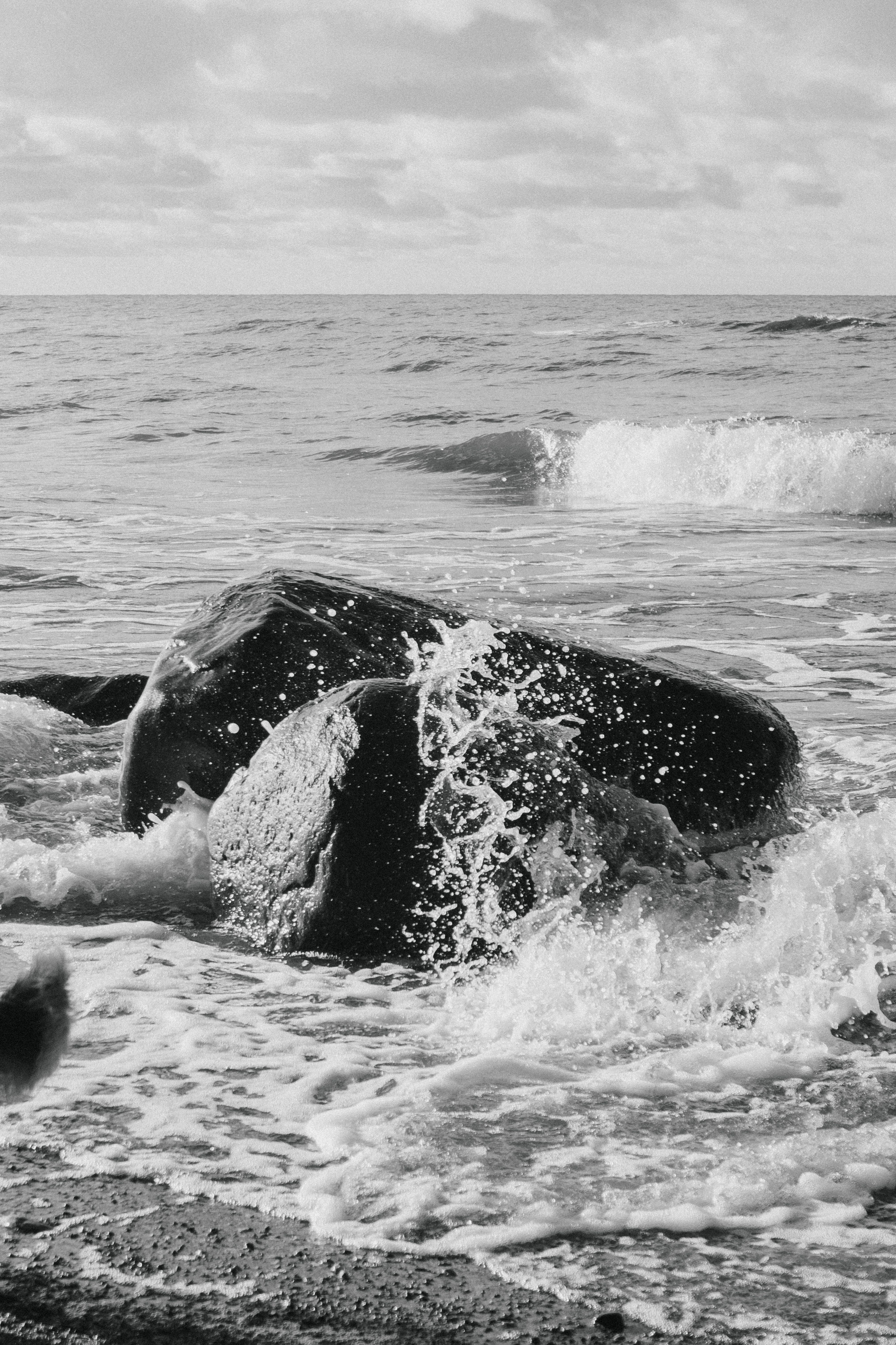 Waves Crashing on Rocks in Black and White · Free Stock Photo