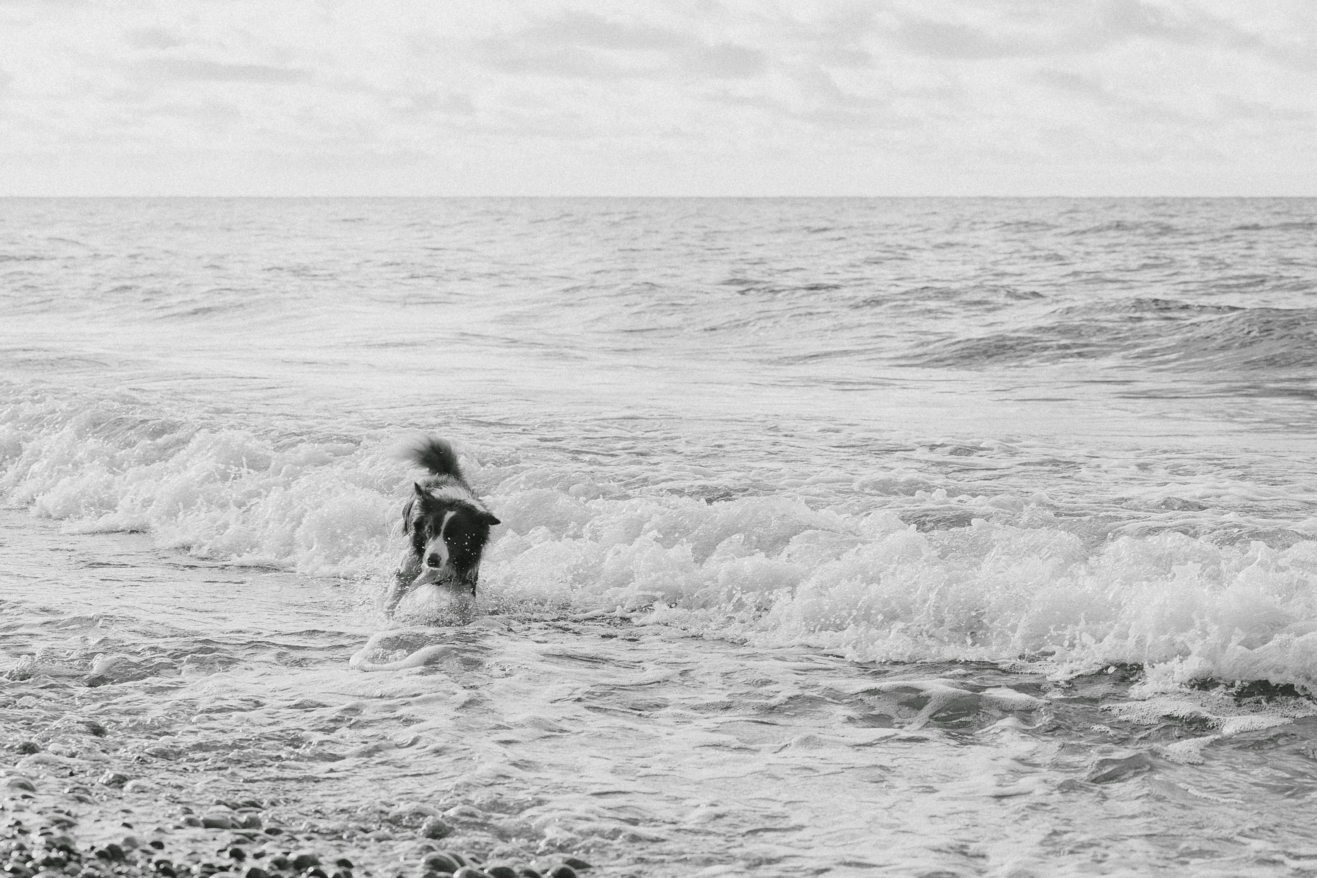 生活：雲林首創閱讀路跑活動　激發全民書香熱潮