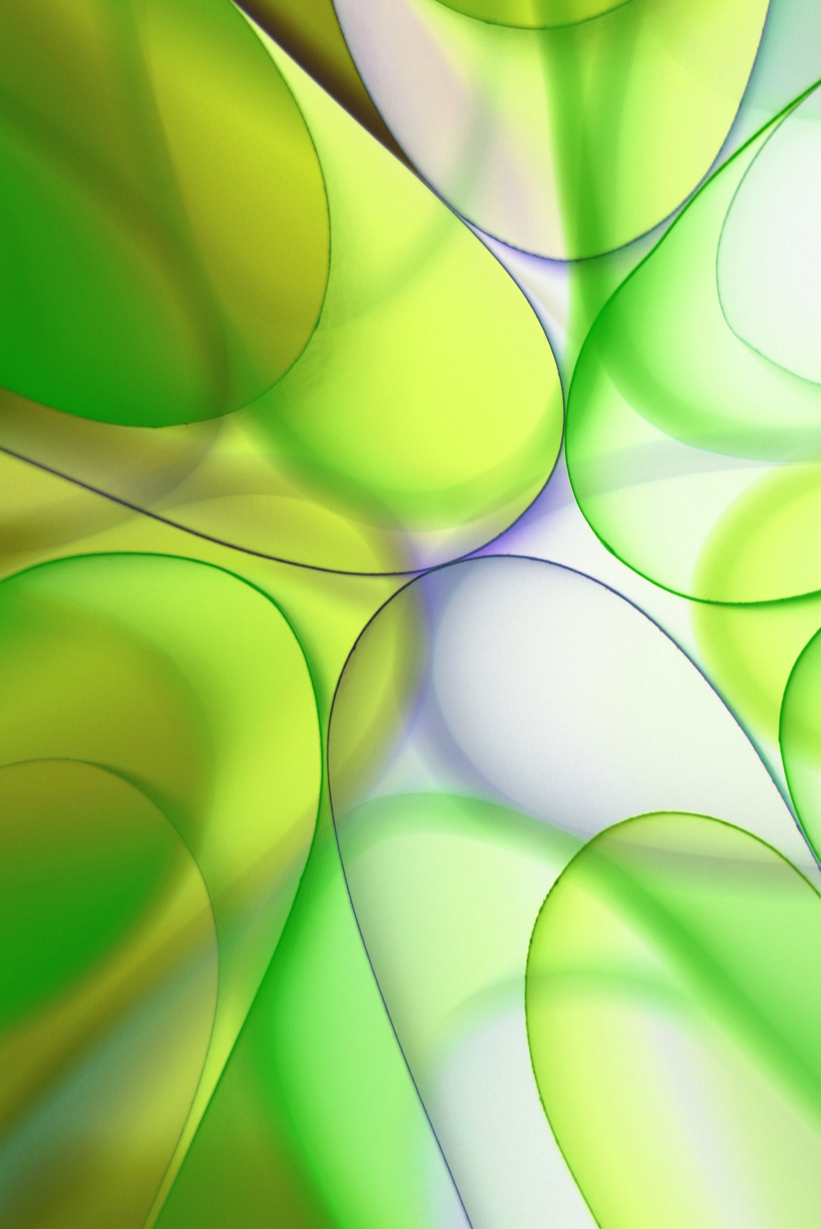 Striking abstract art featuring green and white flowing curves creating an organic and dynamic design.