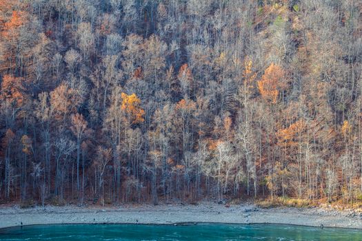 Aerial view of a forest and riverbank with autumn foliage.