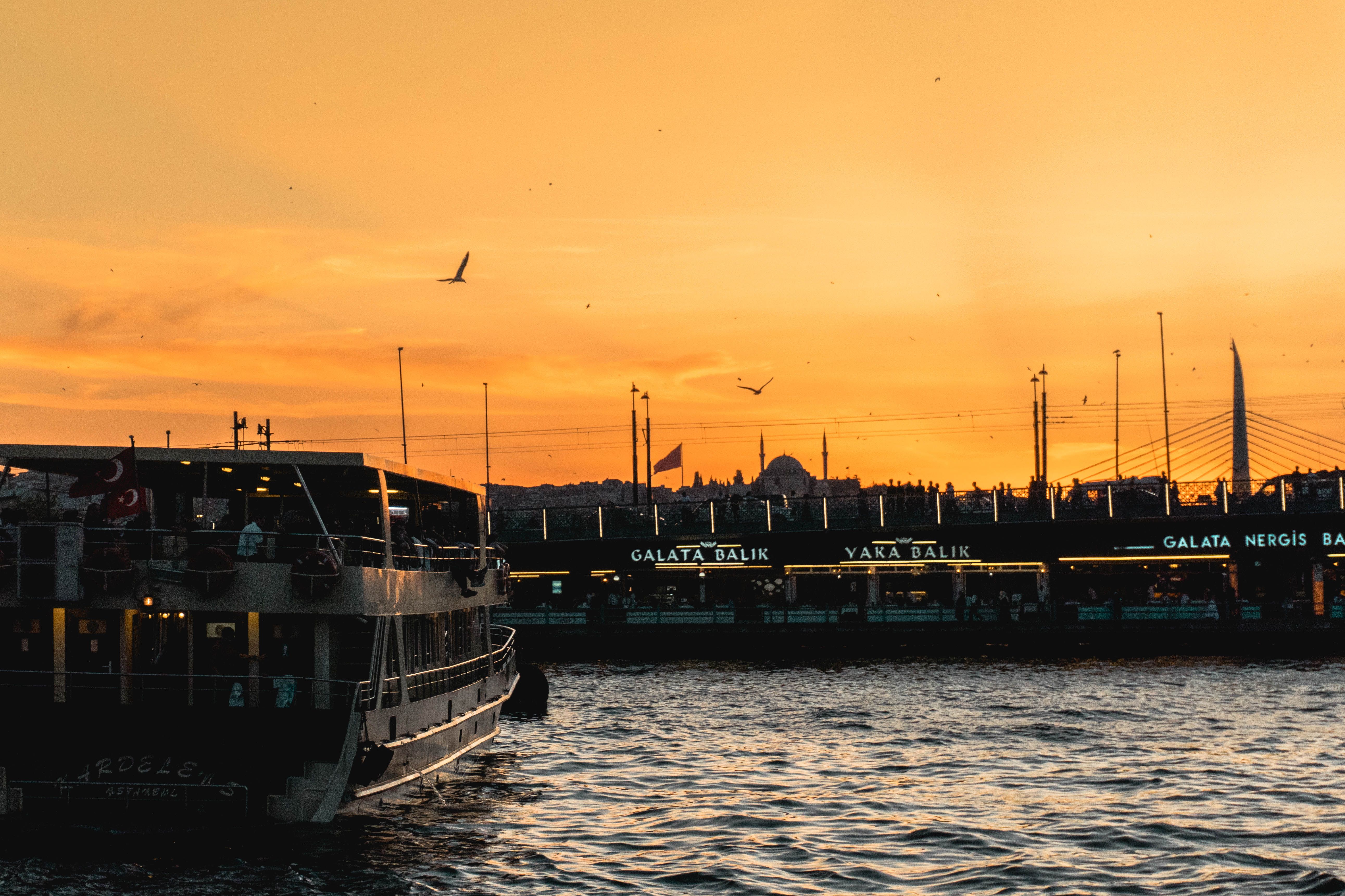 general travel agency — Photo by Marina Grechko on Pexels