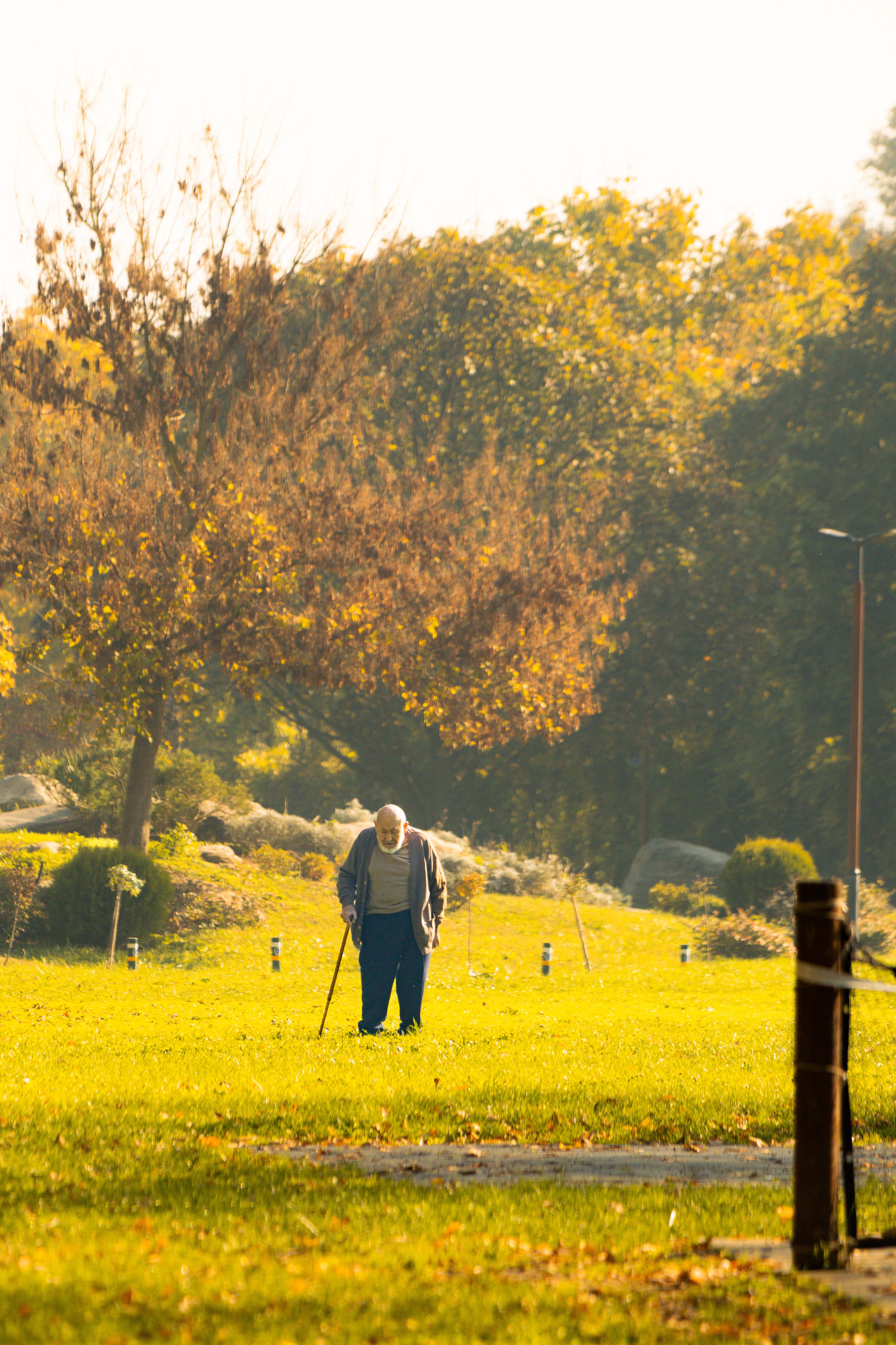 gentle heart rate awareness on busy weekdays