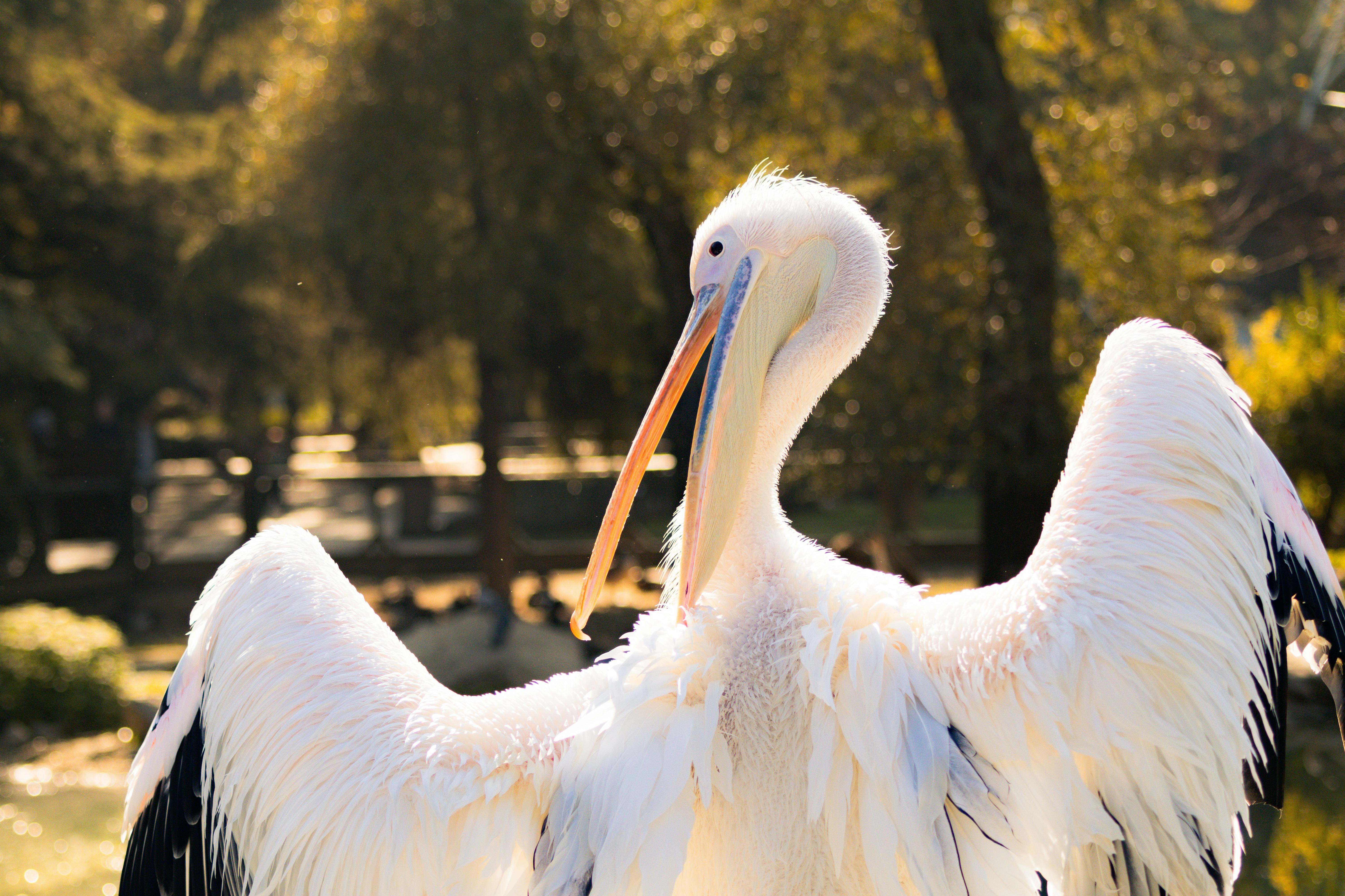 政治：政院版財劃法草案出爐 邱議瑩呼籲柯志恩明確表態支持