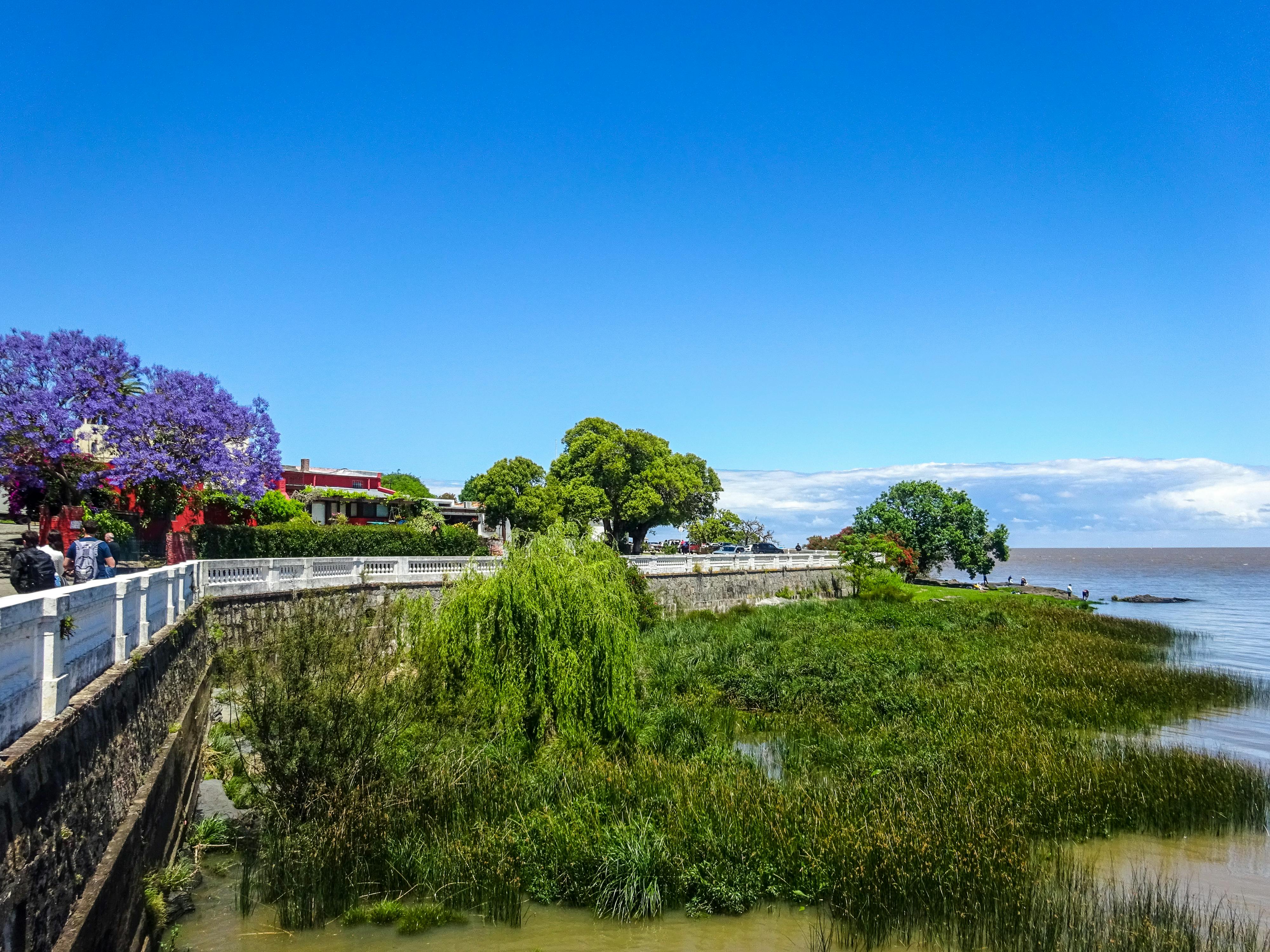 張麗善啟動微冊愛閱讀生活節 創建永續閱讀城市新願景