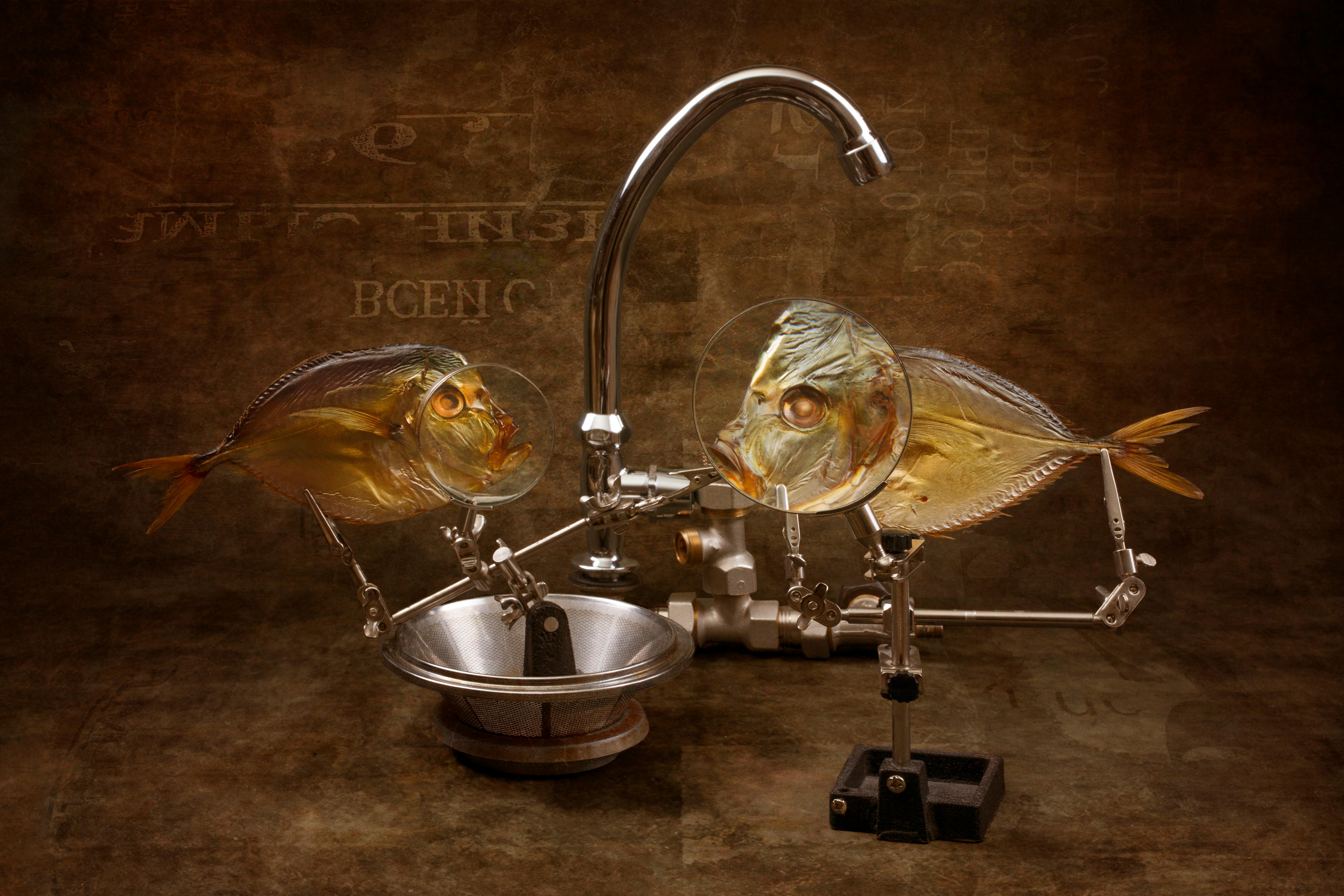 Surreal image of fish with magnifying glasses and lab setup, artistic concept.