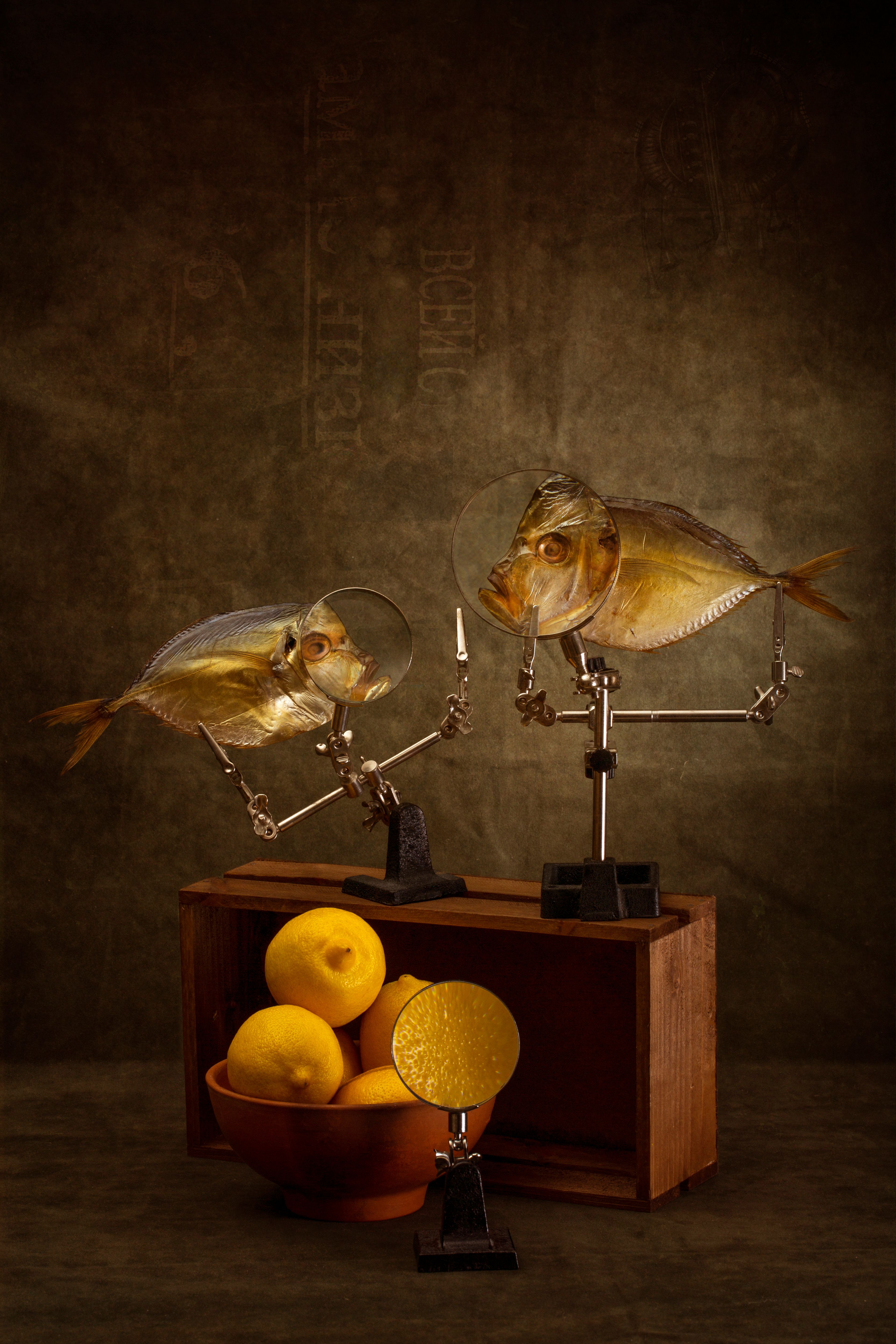 Creative still life composition with mounted fish and lemons on a rustic background.