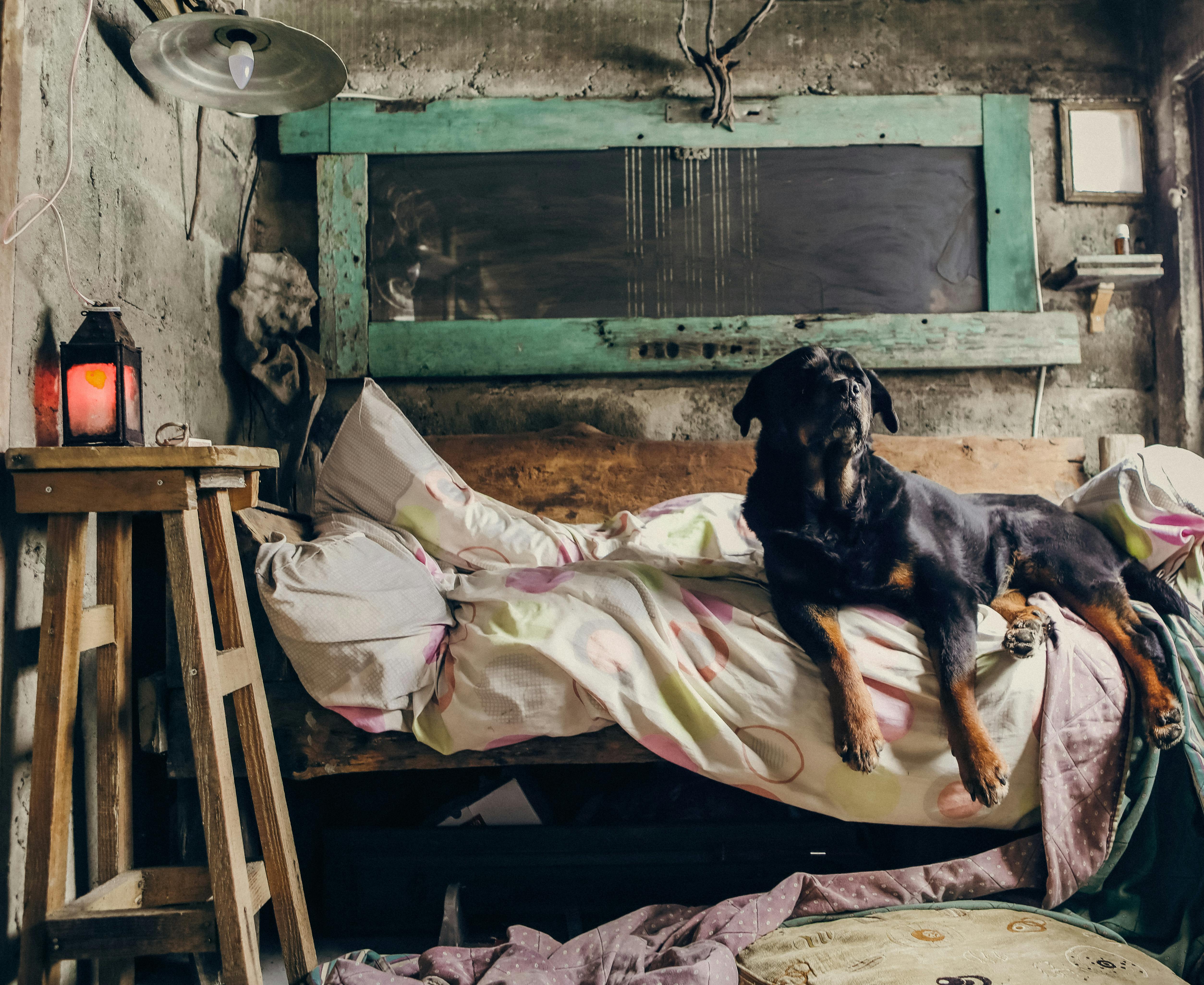 4個簡單生活習慣優化晝夜節律，提升睡眠與心血管健康