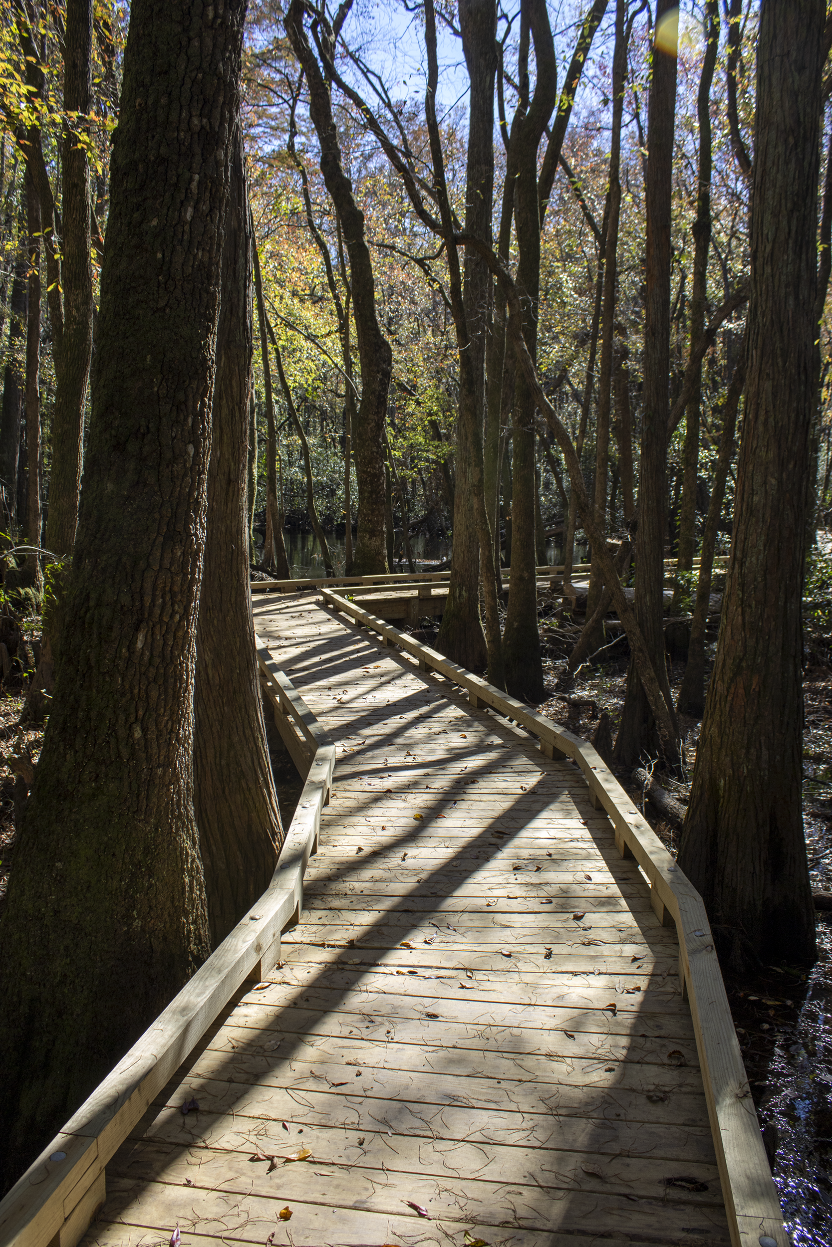 things to do in palm bay florida