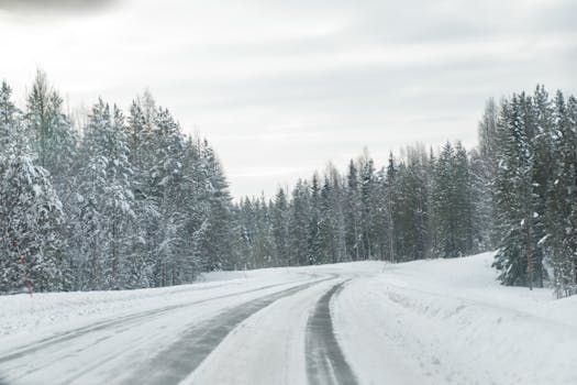 Free stock photo of asphalt road, finland, forest
