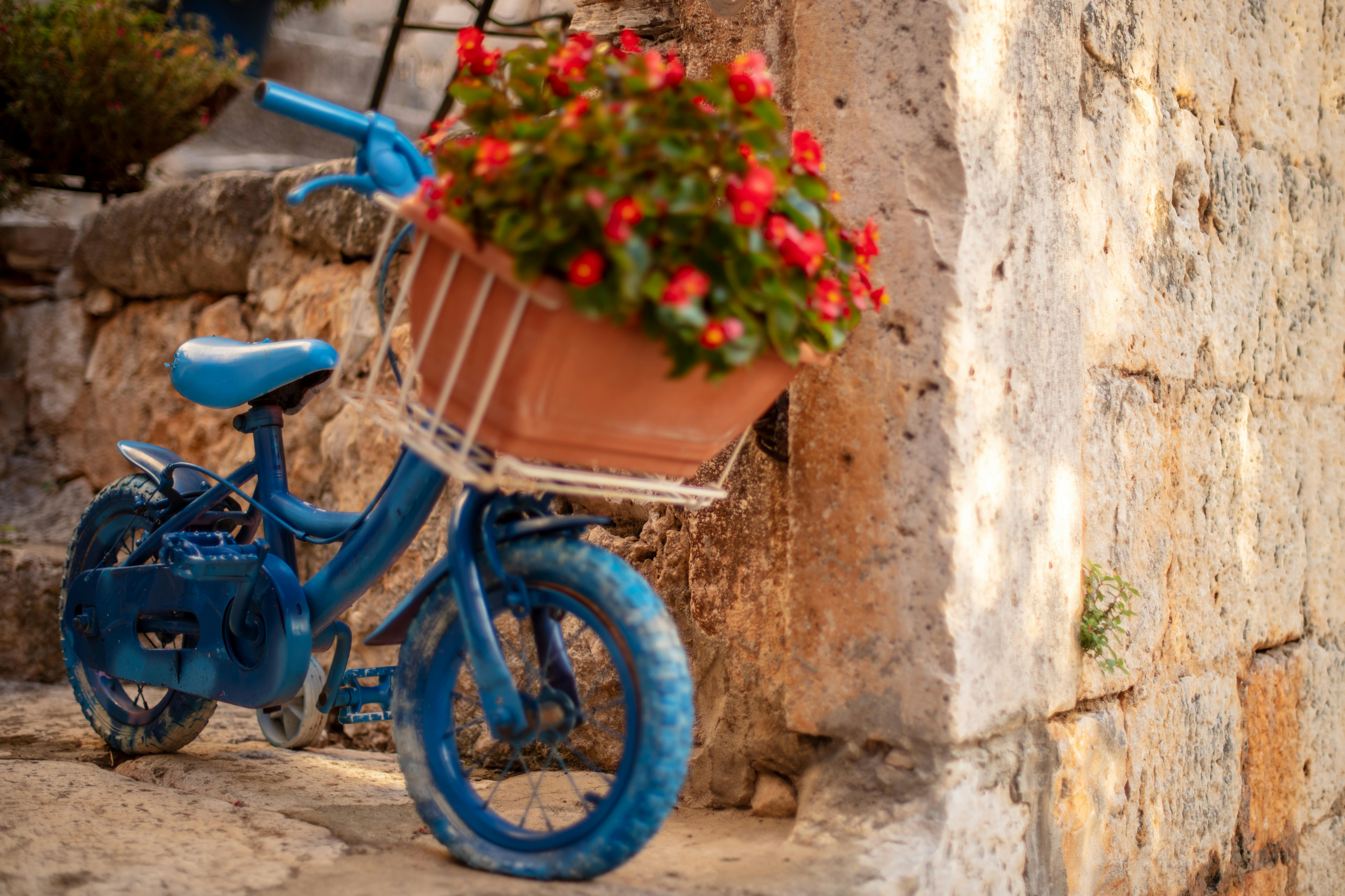 Sustainable Living Hacks You Need to Know for Urban Gardening