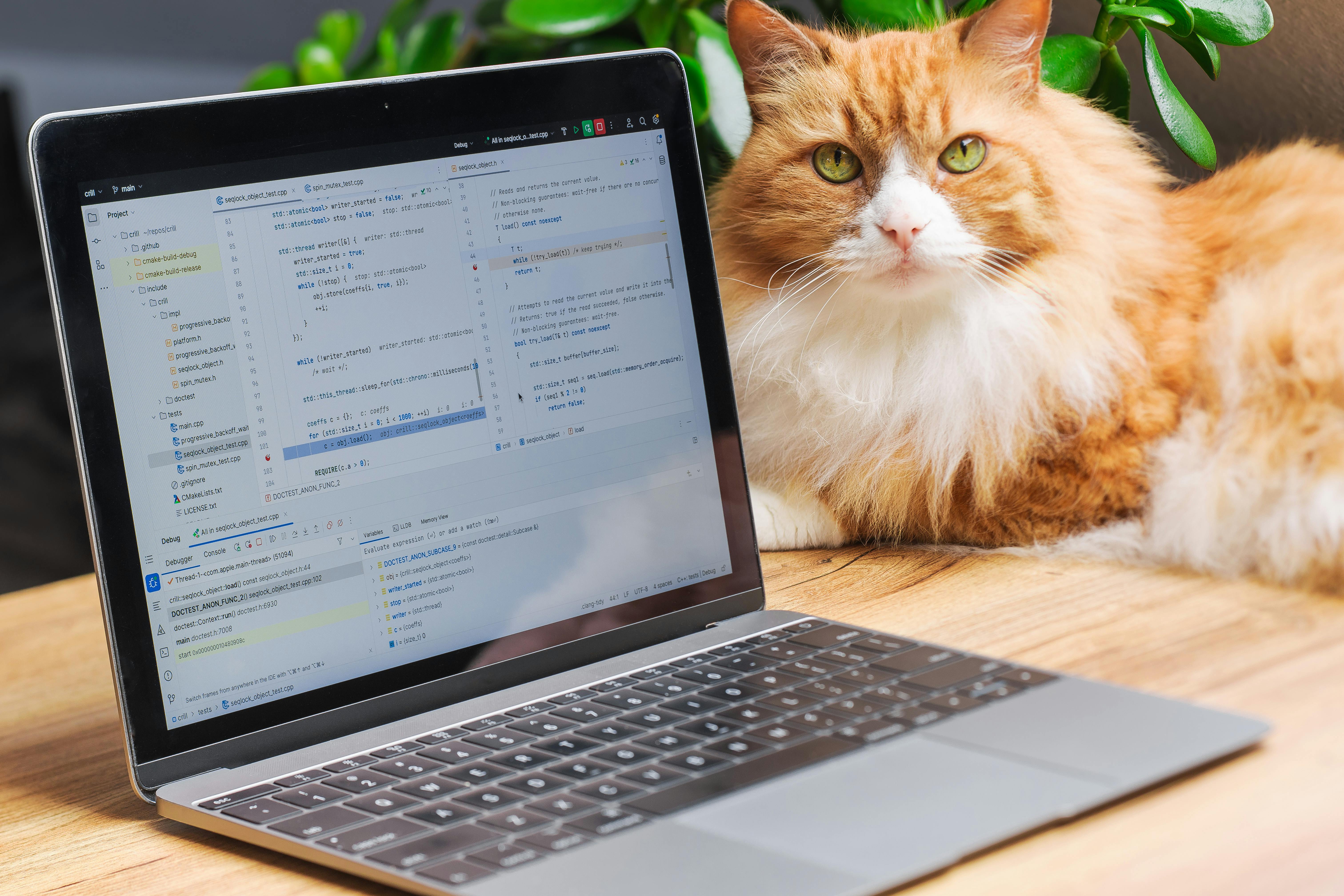 A fluffy orange cat rests beside a laptop showing a code editor, creating a cozy work-from-home setting.