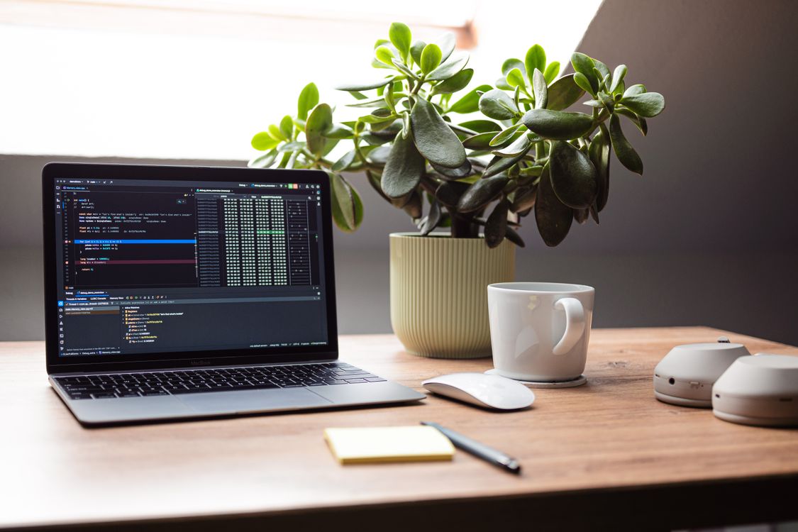 Modern Workspace with Laptop and Plant · Free Stock Photo
