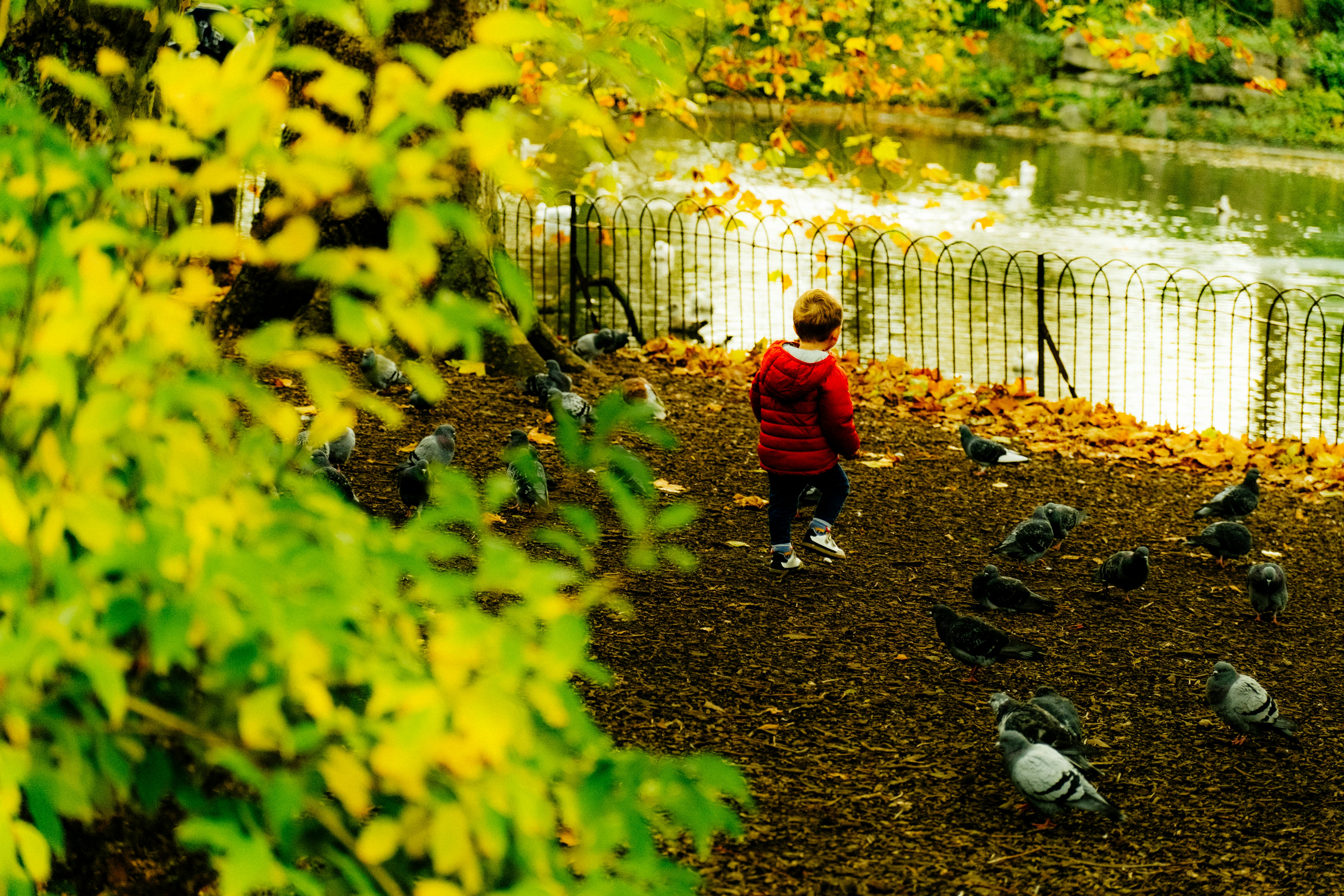 中芯國際與華虹雙雄靠這兩類晶圓產品獲利穩健成長