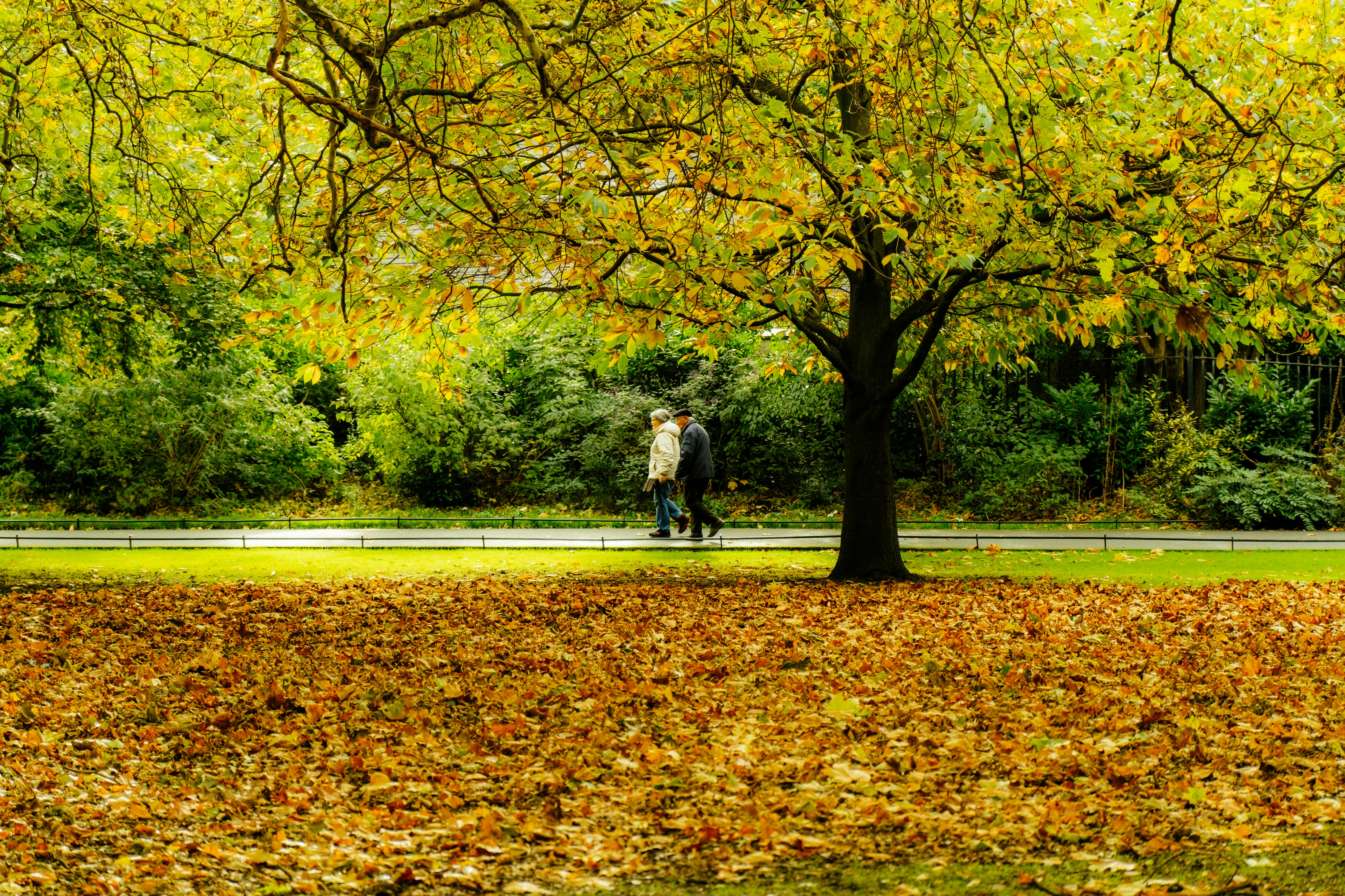 銀向心生活遇見幸福愛銀髮樂園，打造長者全方位體驗