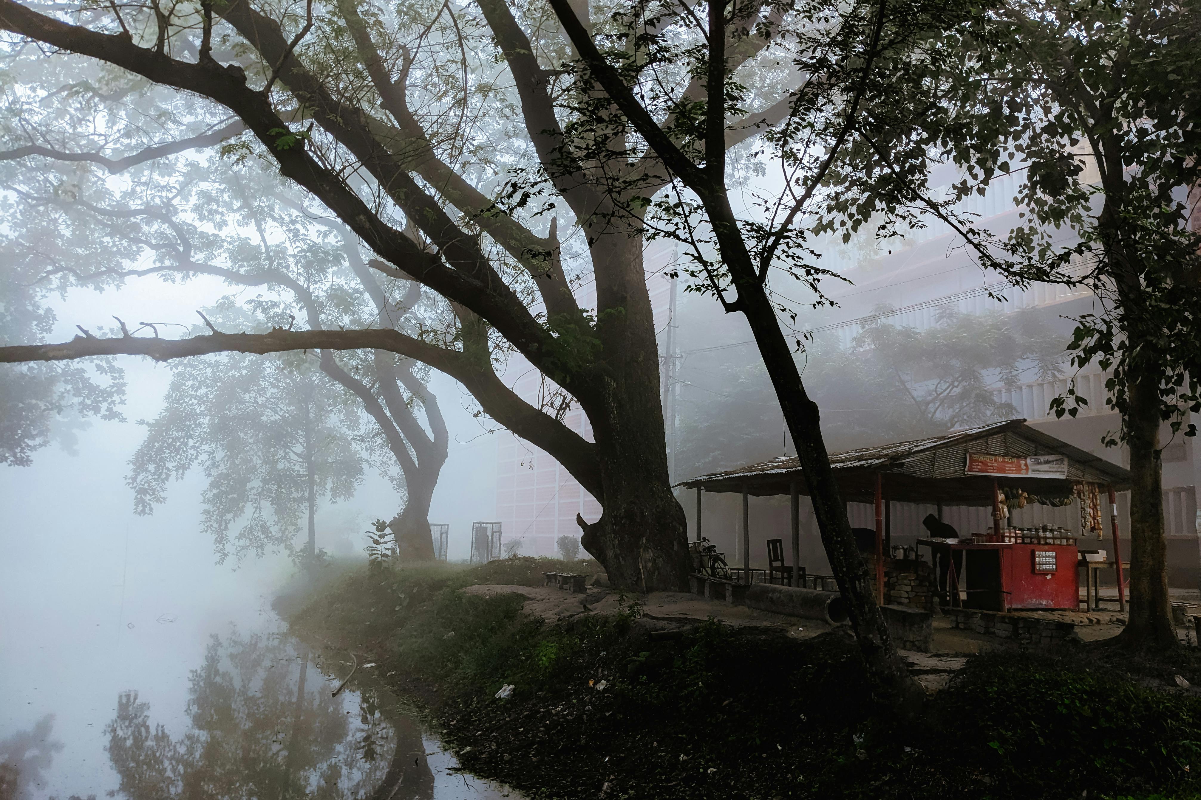 Bel-Air Tamat! Jabari Banks dan Bintang Lain Kenang Momen Tak Terlupakan