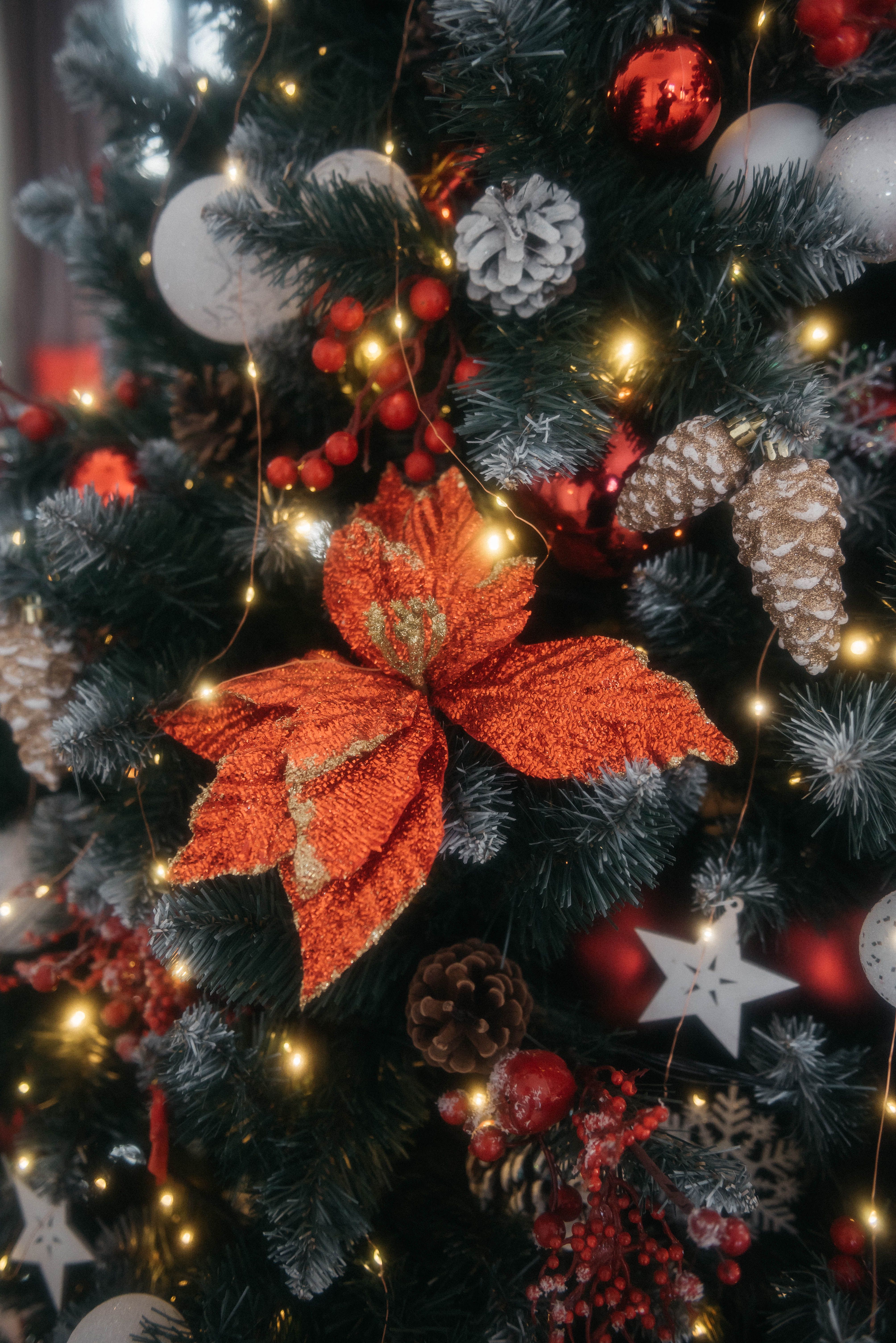 Green Christmas Tree With Red Baubles and String Lights · Free Stock Photo
