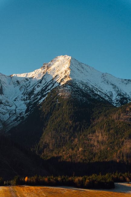 Breathtaking view of a snow-capped mountain in Ždiar with autumn foliage below.