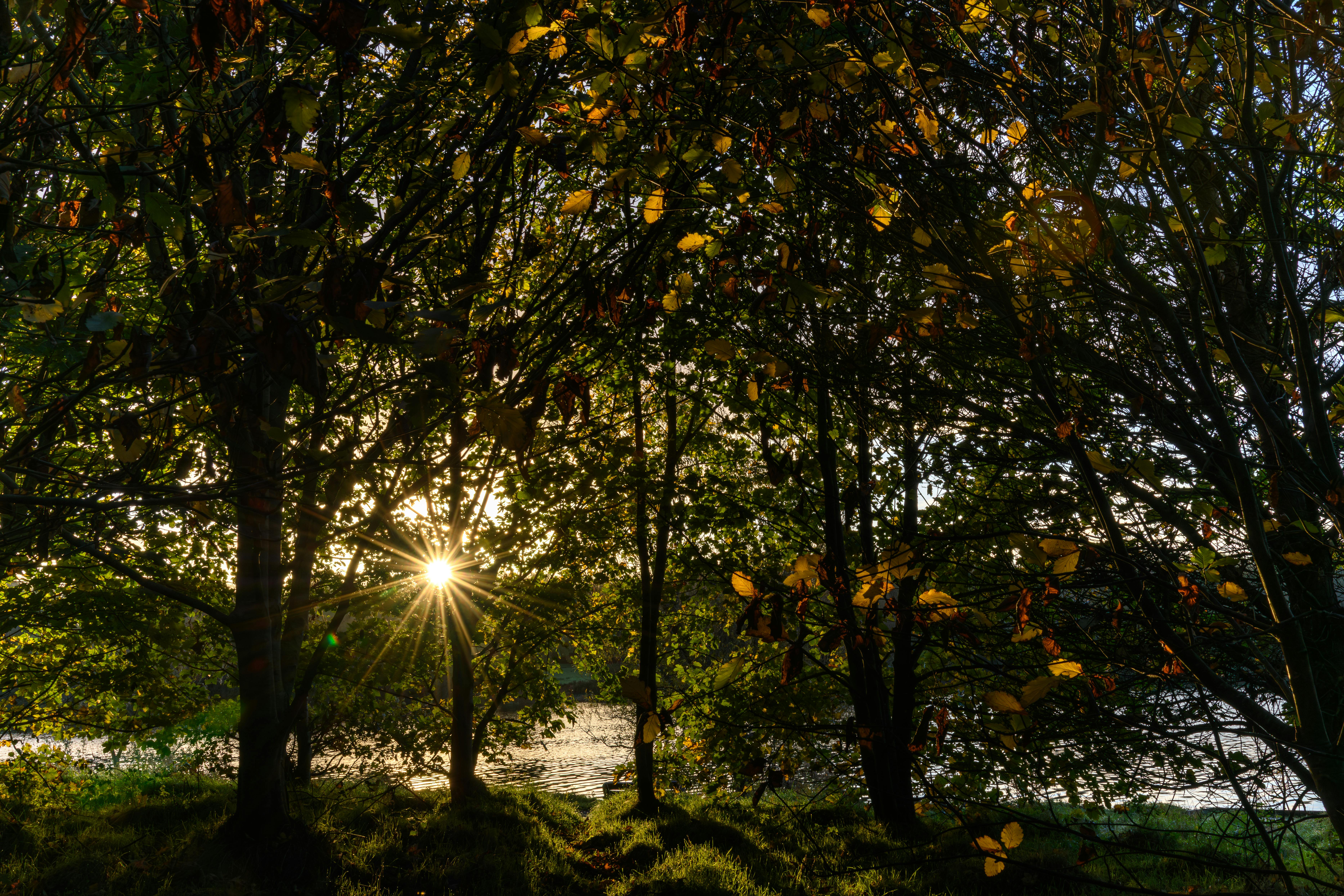 政治：紀錄片《南半球最璀璨的星星》回顧邱垂亮自由信念一生