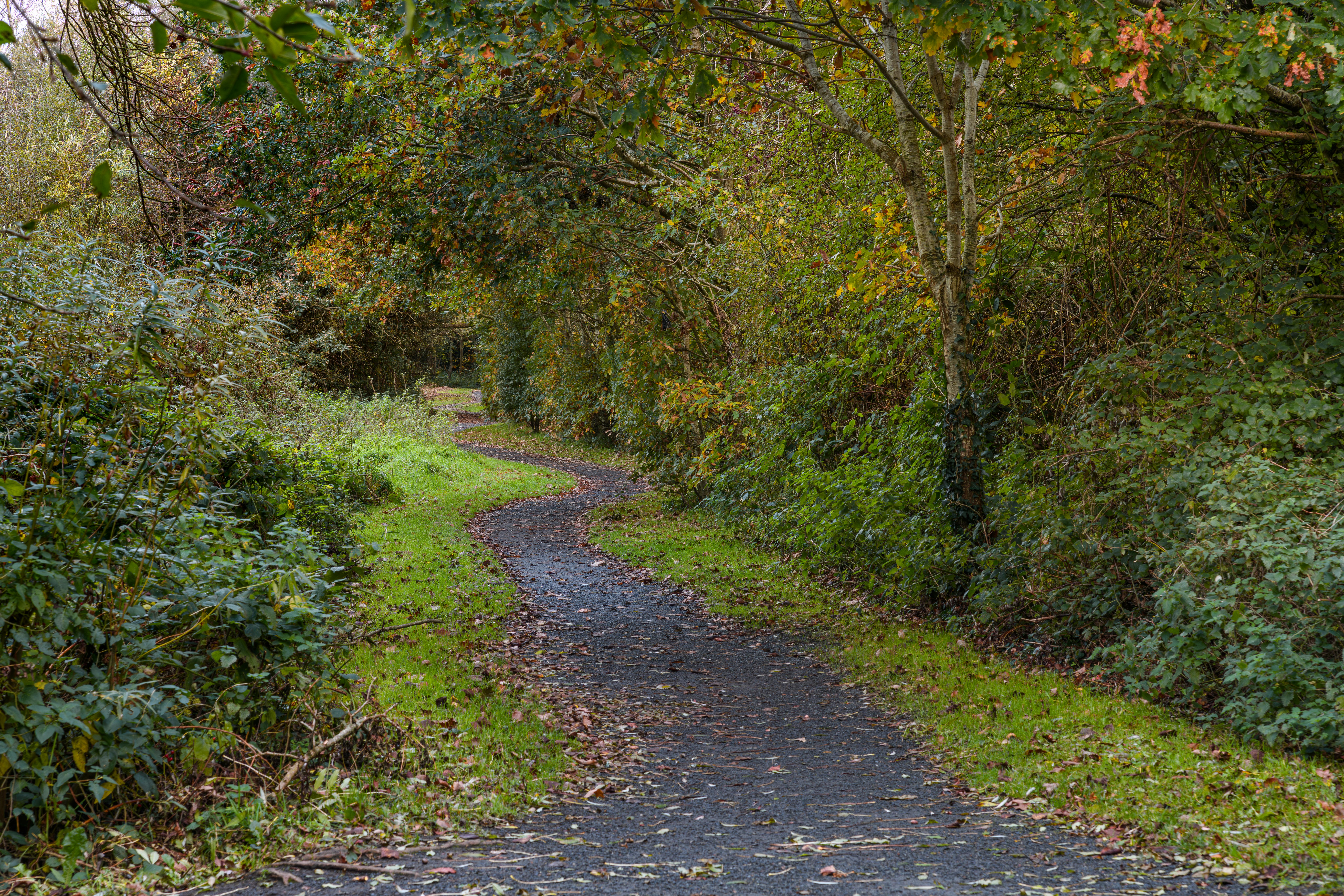政治：紀錄片《南半球最璀璨的星星》回顧邱垂亮自由信念一生