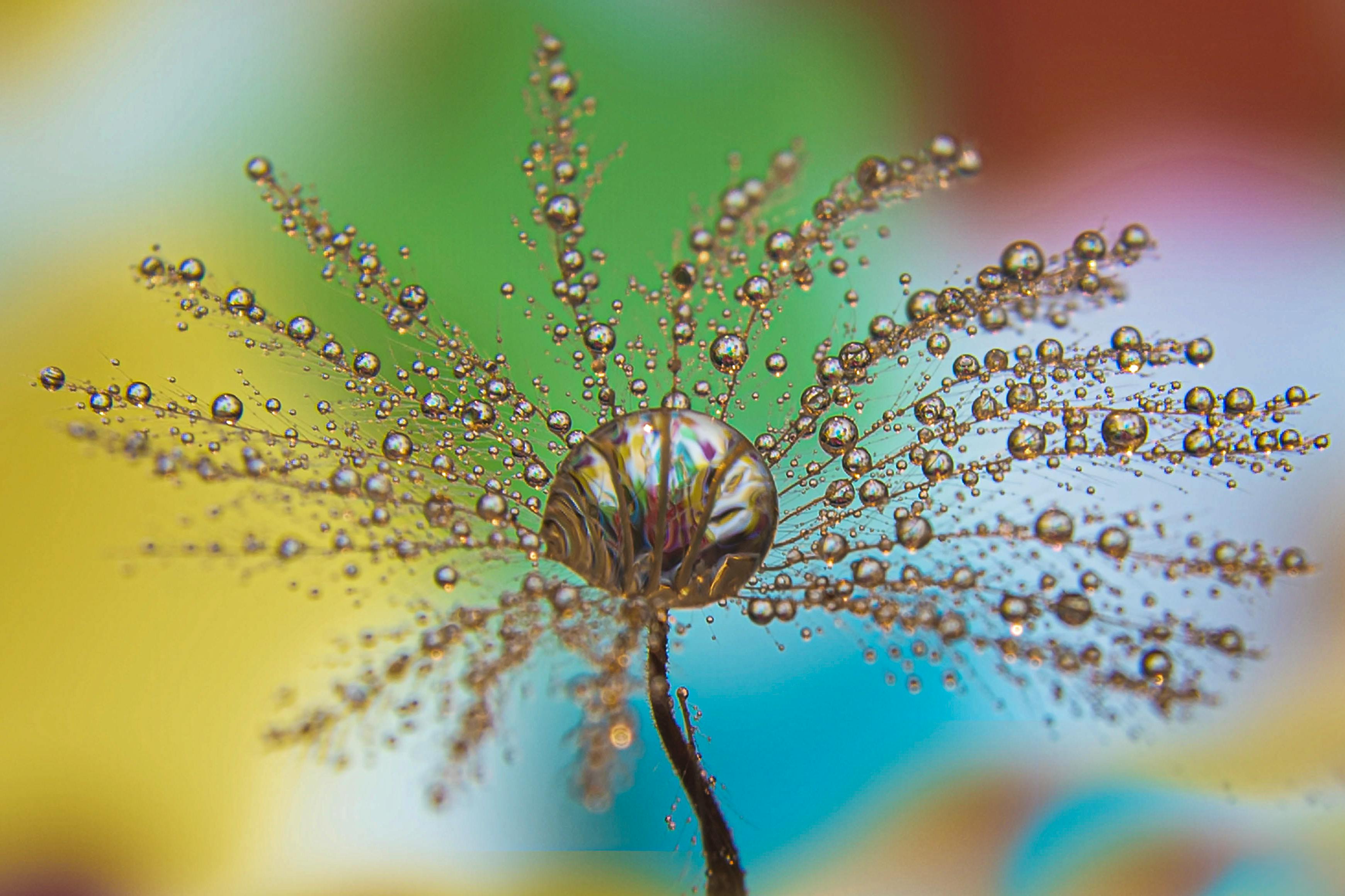 坎耶·韋斯特坦言後悔參與生活，深刻反思人生抉擇