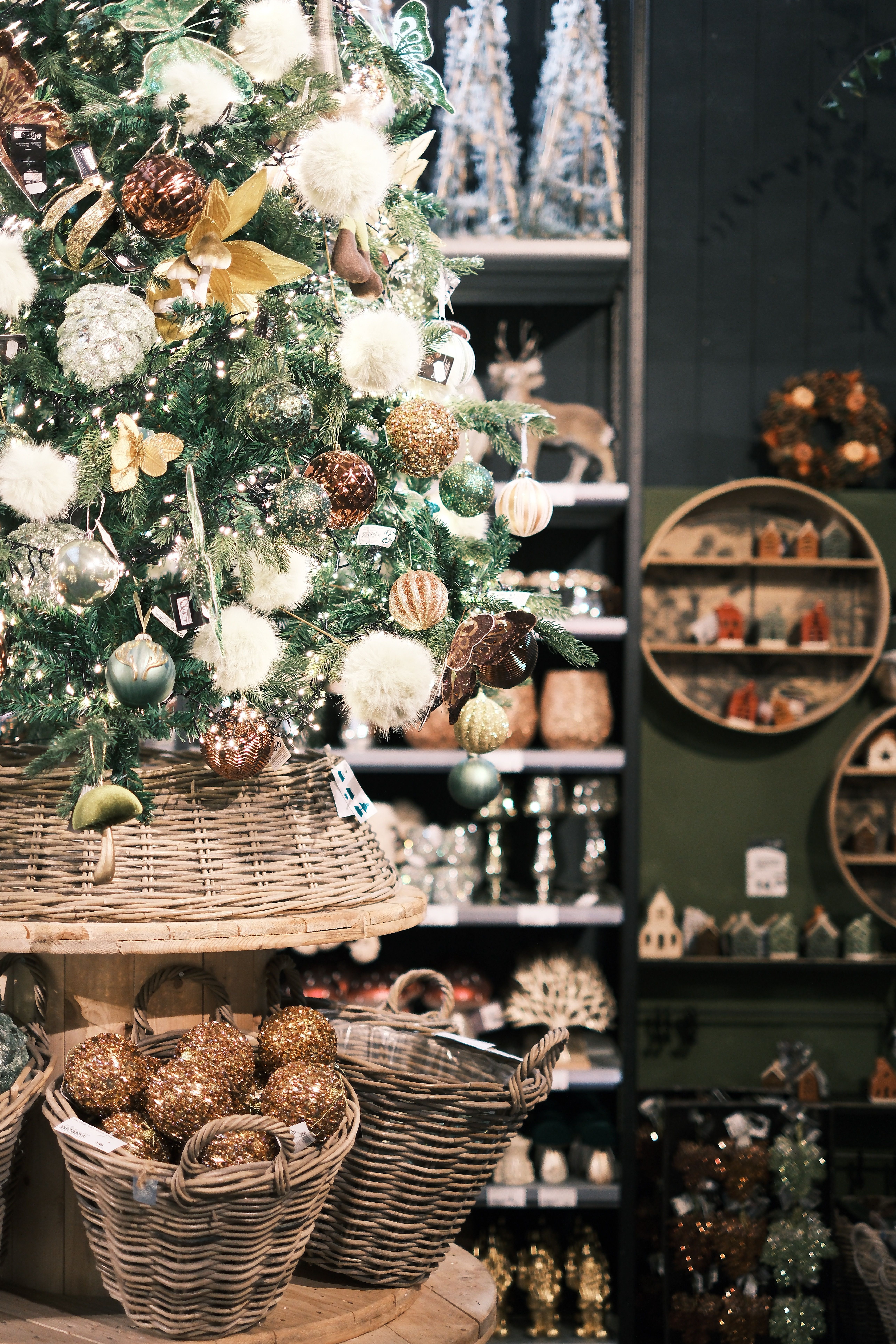 Tree Display Photos, Download The BEST Free Tree Display Stock Photos ...