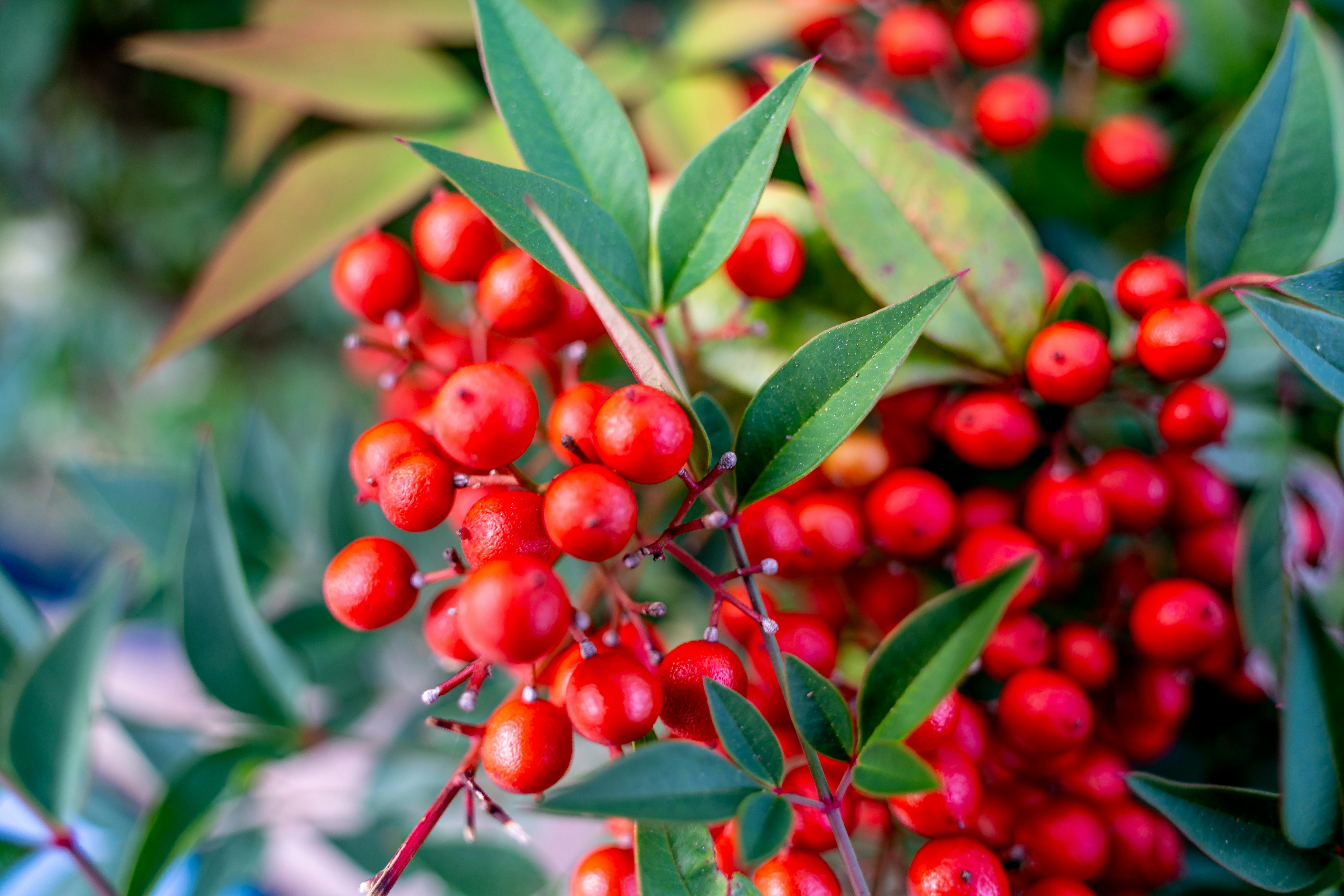 Growth Hacking Secrets Revealed: Innovative Tactics to Accelerate Your Business