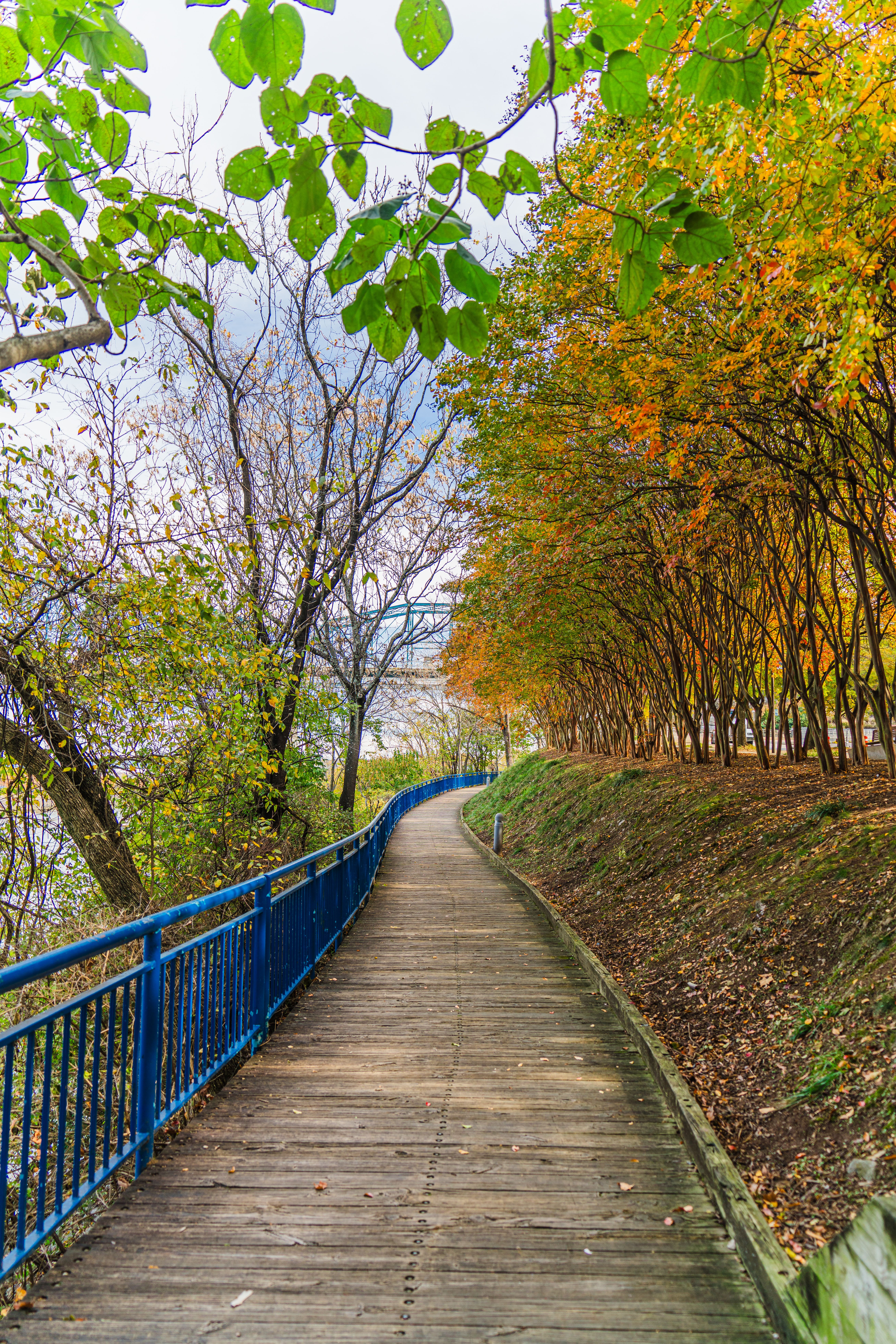 things to do in quad cities