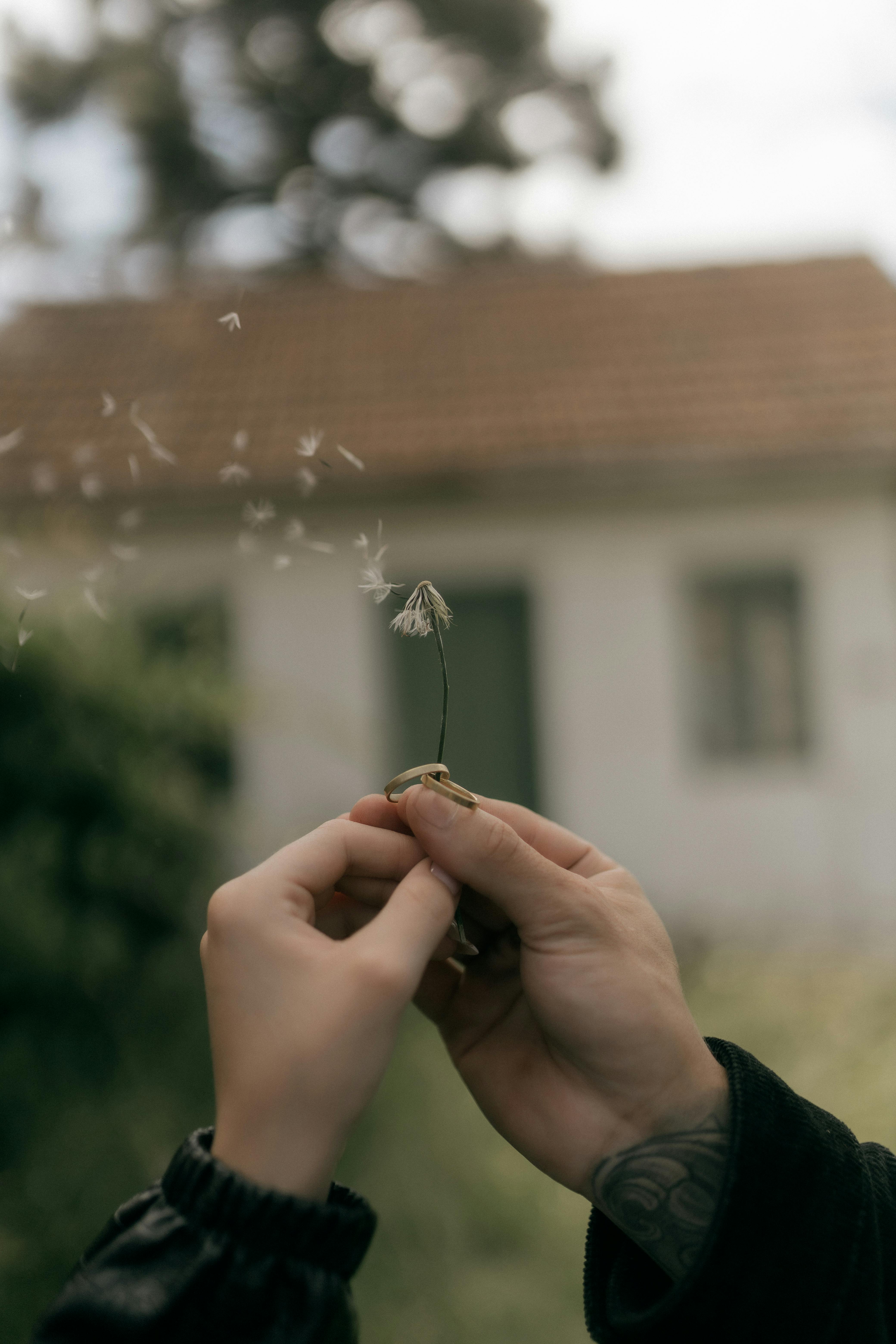 Inmates Release Photos, Download The BEST Free Inmates Release Stock ...