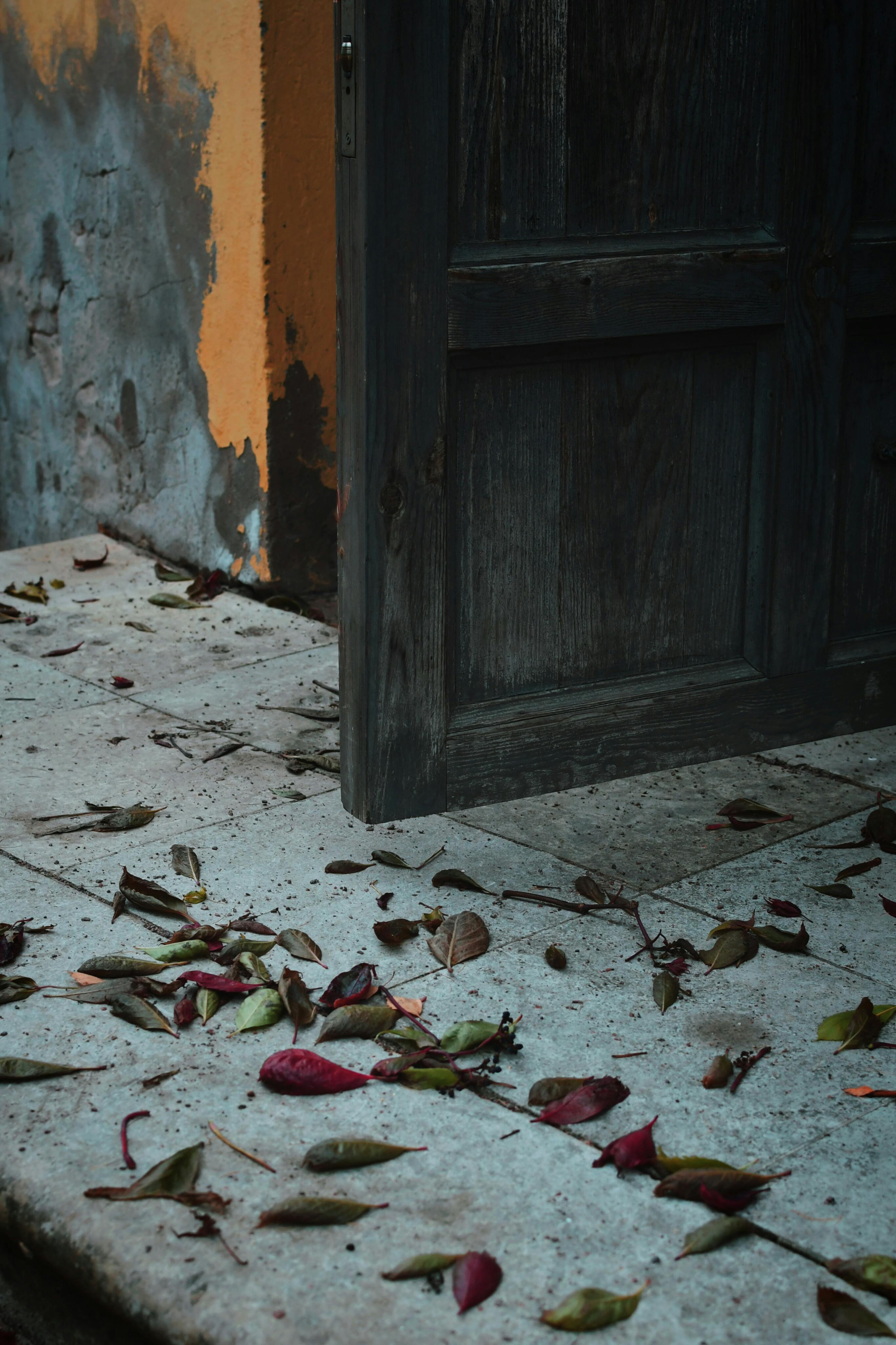 Gratuit Ușă din lemn uzată, cu frunze de toamnă pe trepte de piatră, emanând o atmosferă rustică. Fotografie de stoc