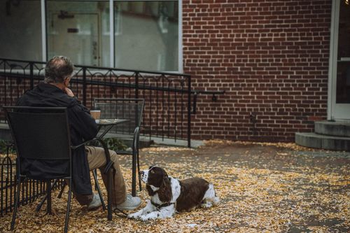 Free Elderly man sits with a cup of coffee while his dog relaxes on a leafy patio in autumn. Stock Photo