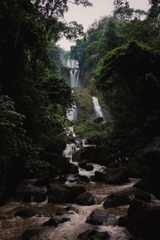 Discover the stunning beauty of a waterfall nestled in Central Java's lush green forest.