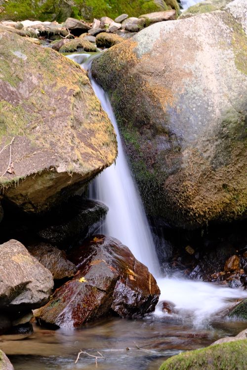 Free Serene waterfall flowing over moss-covered rocks in the forest, perfect for nature and relaxation themes. Stock Photo