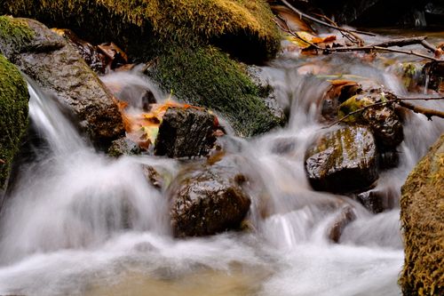 Free Calm stream cascading over moss-covered rocks with autumn leaves scattered throughout, capturing nature's serenity. Stock Photo