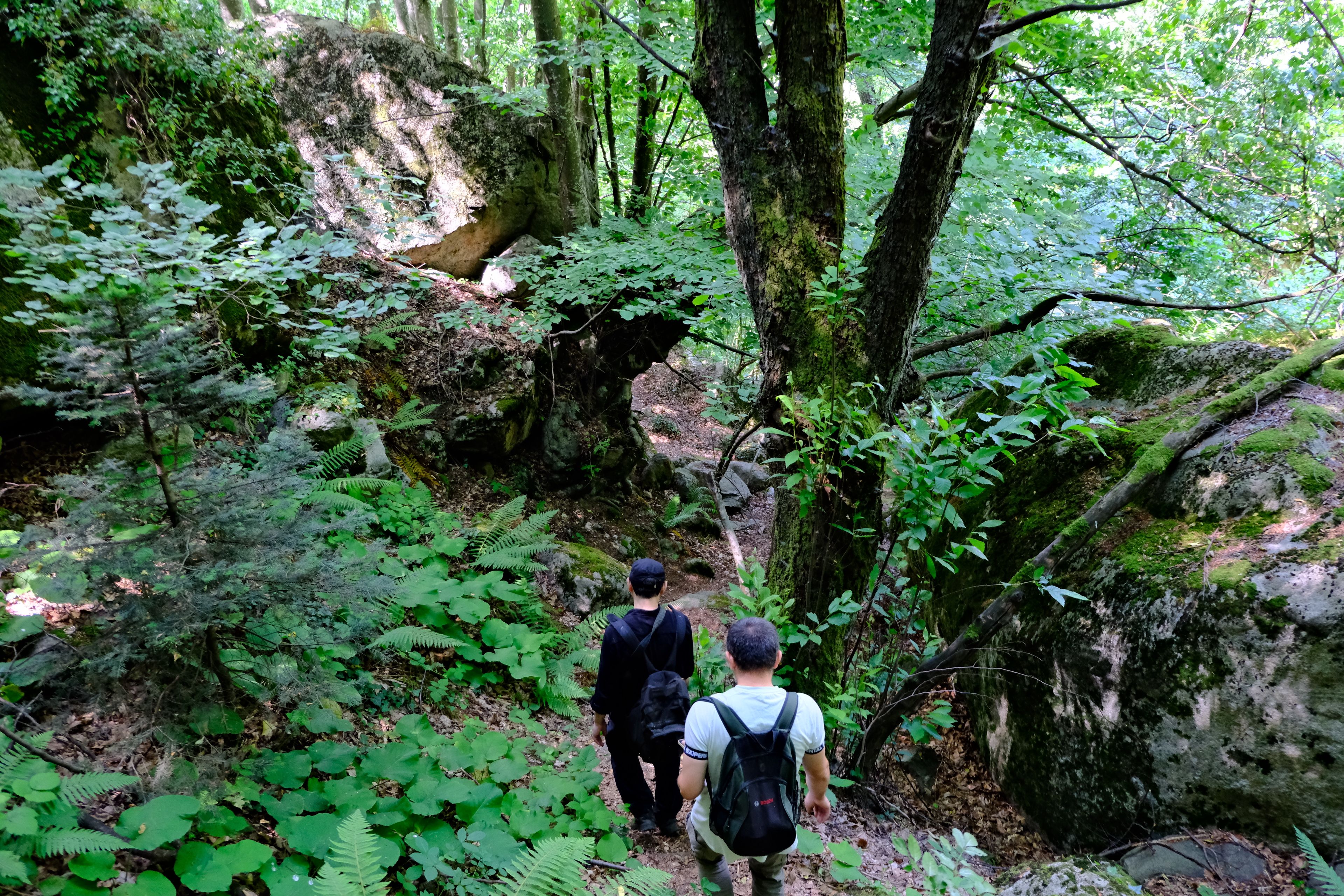 Two hikers on the scenic trail of Mount Adaklu with lush greenery