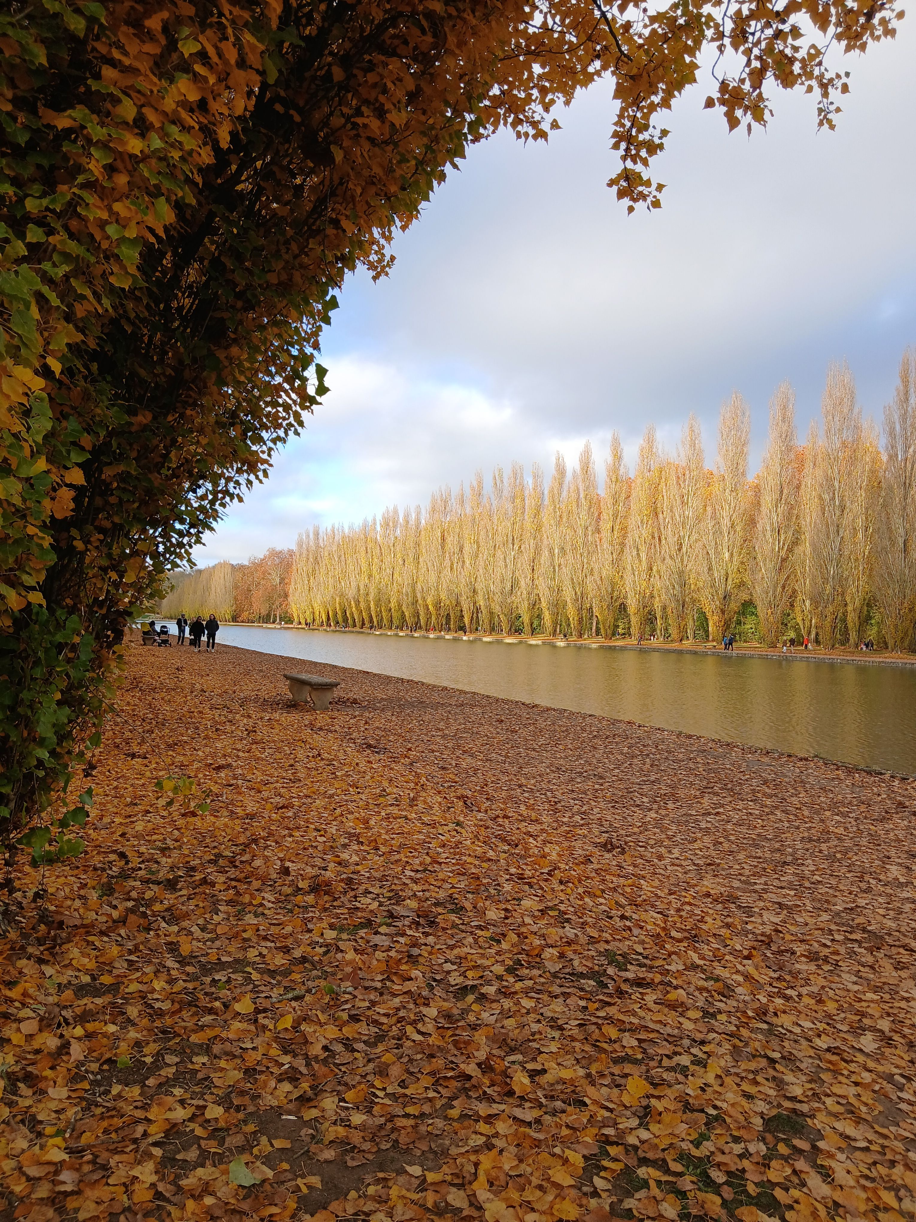 Peaceful Riverside Path with Autumn Leaves · Free Stock Photo