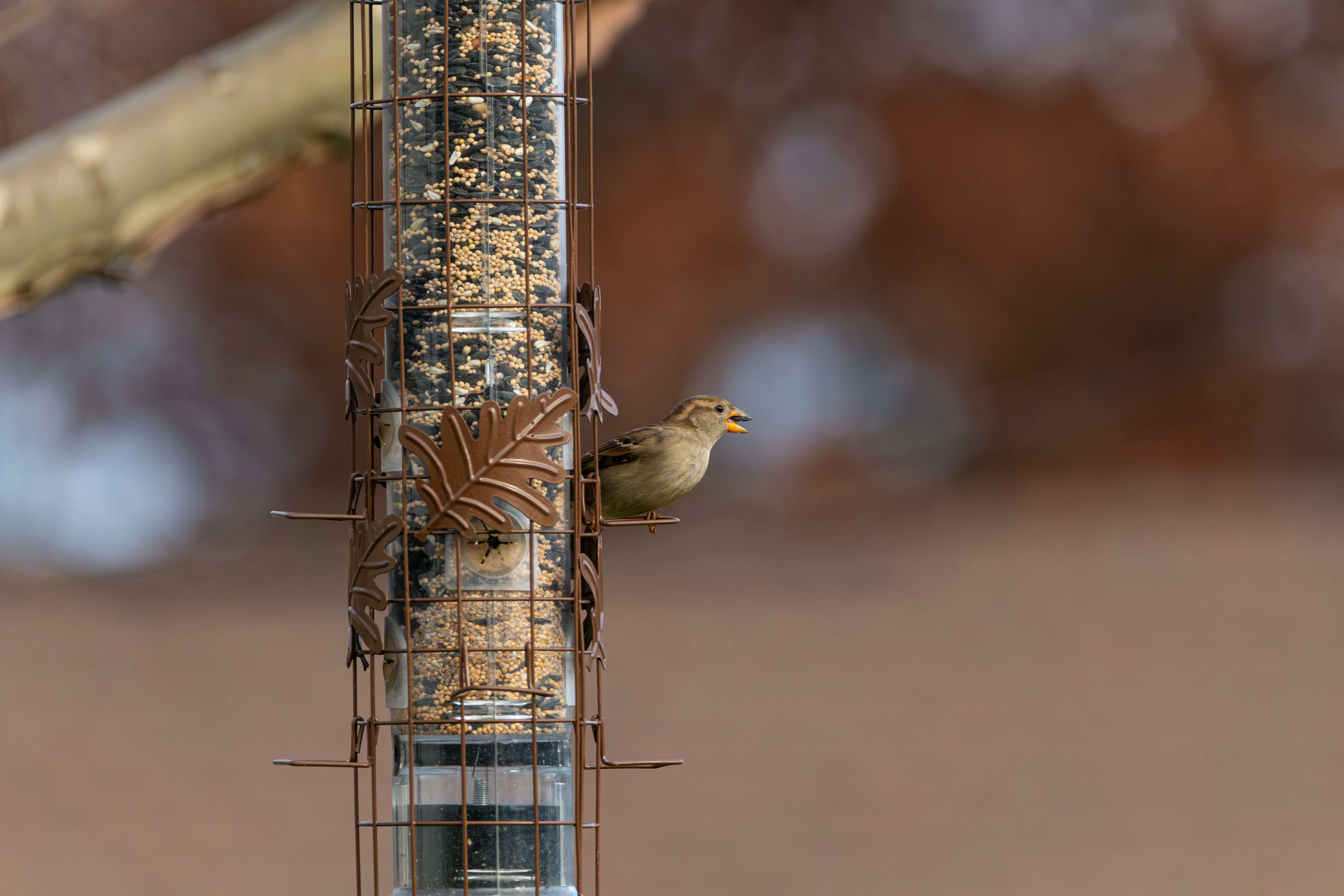 財經青紅燈：美食-KY業績表現亮眼獲投資人肯定