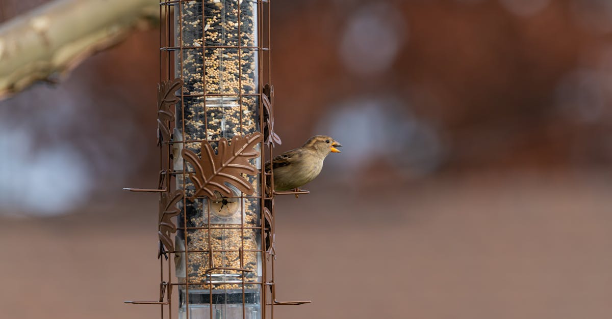 財經青紅燈:美食-KY業績表現亮眼獲投資人肯定