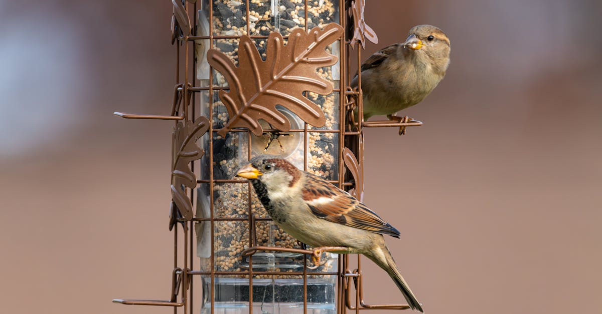 財經青紅燈:美食-KY業績表現亮眼獲投資人肯定