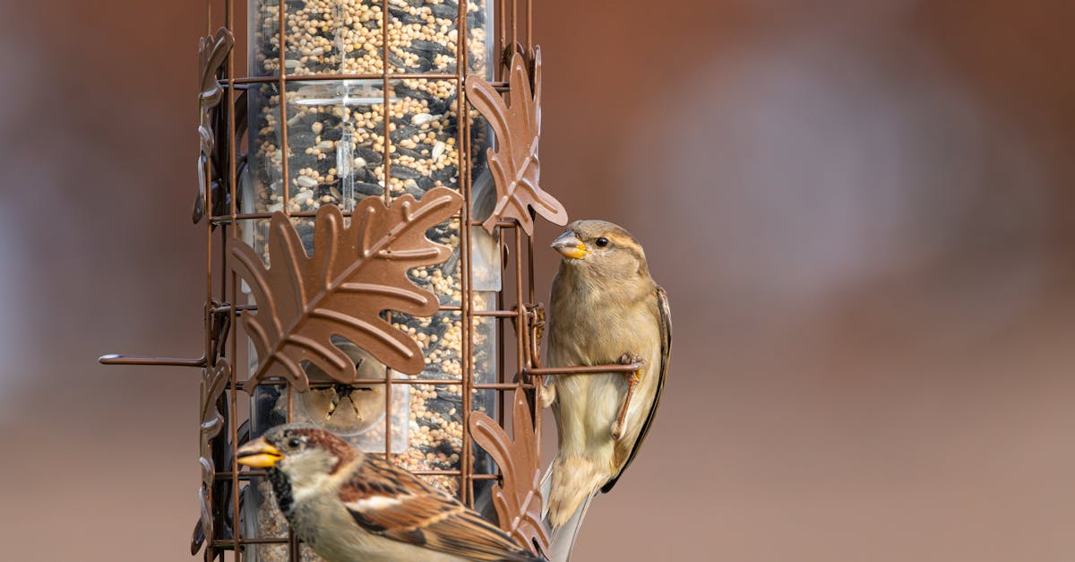 財經青紅燈:美食-KY業績表現亮眼獲投資人肯定